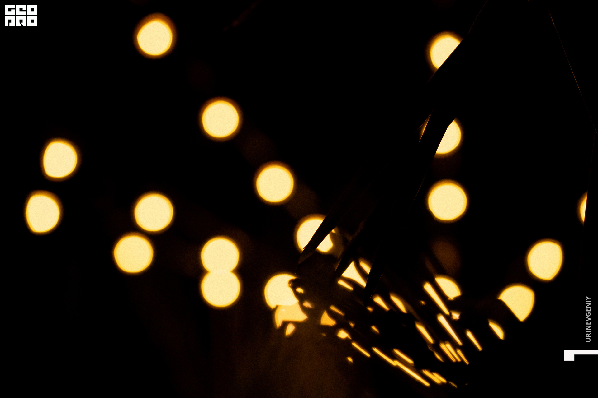 21.08. Питерский Дворик (135).jpg