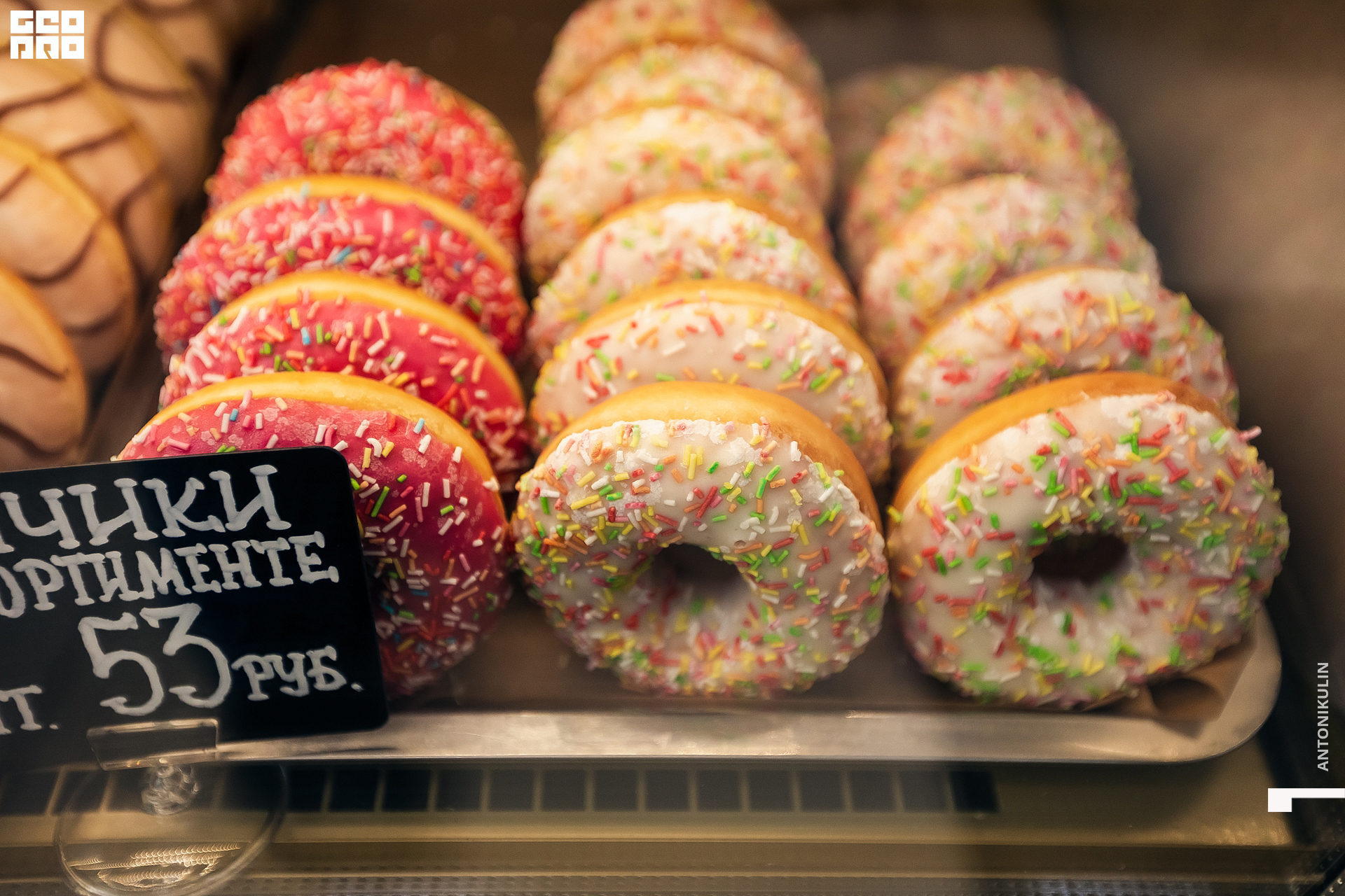 untitled shoot-9823.jpg