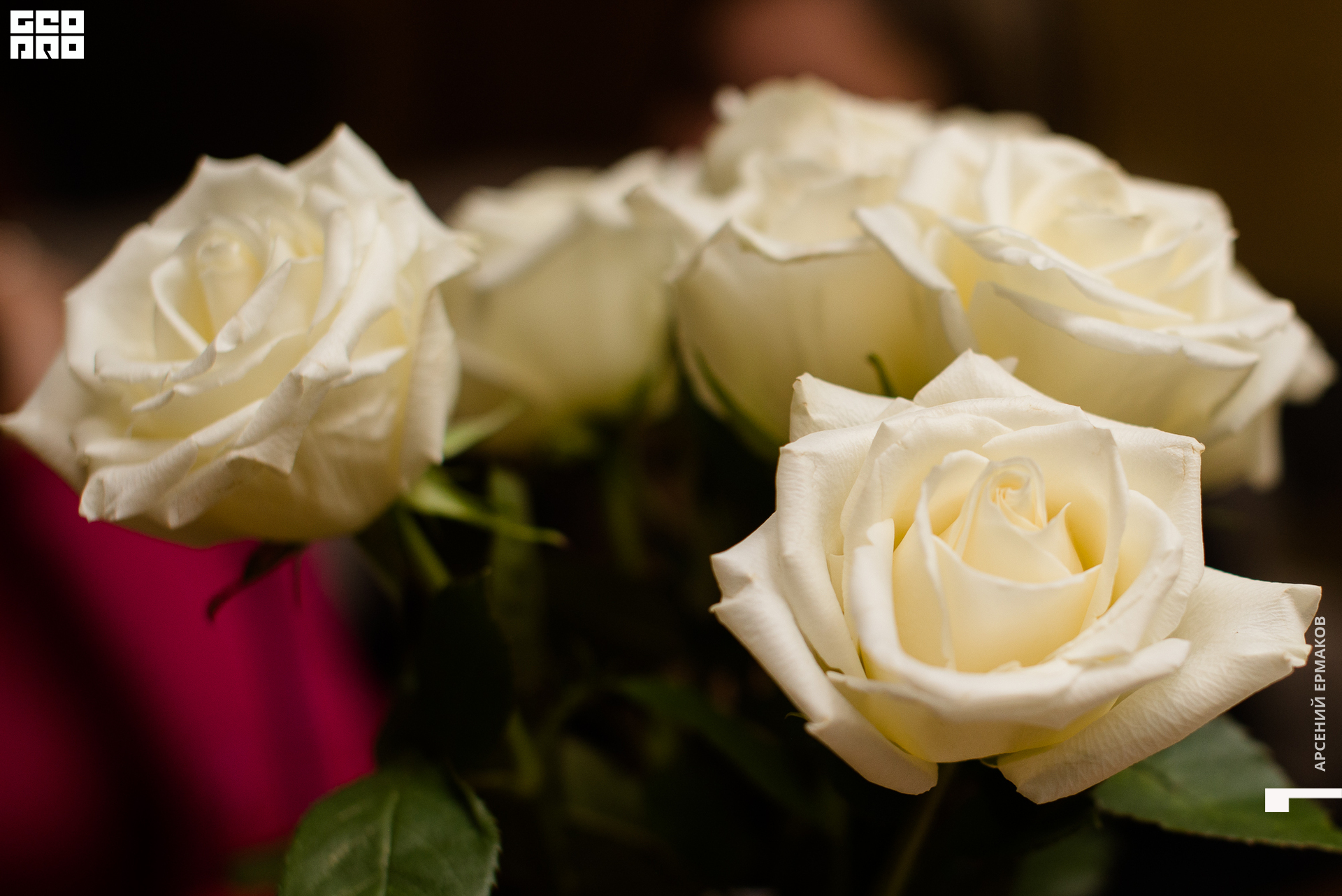 023 111822222640_arseniyermakov.jpg