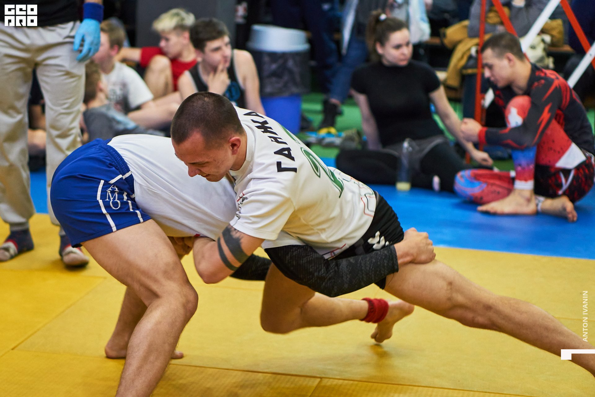 DSC09038 (Копировать).jpg