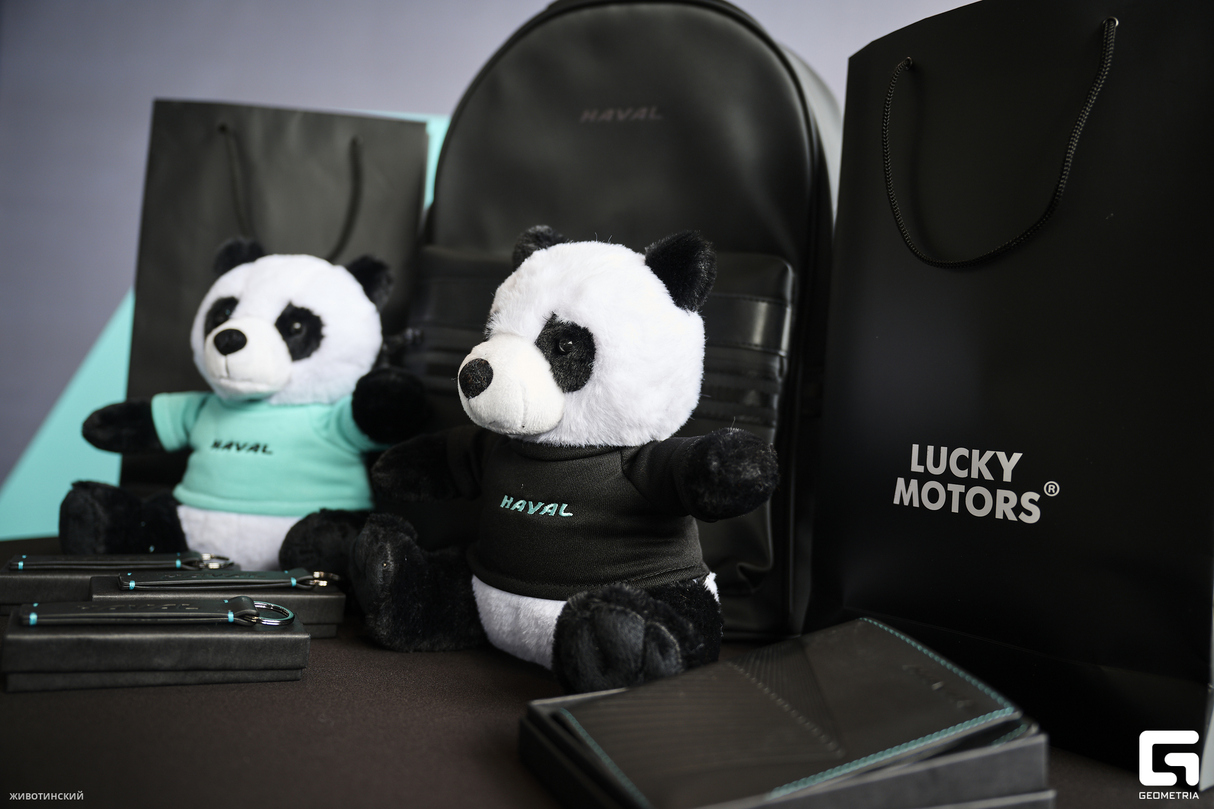 Презентация HAVAL JOLION от LUCKY MOTORS 19