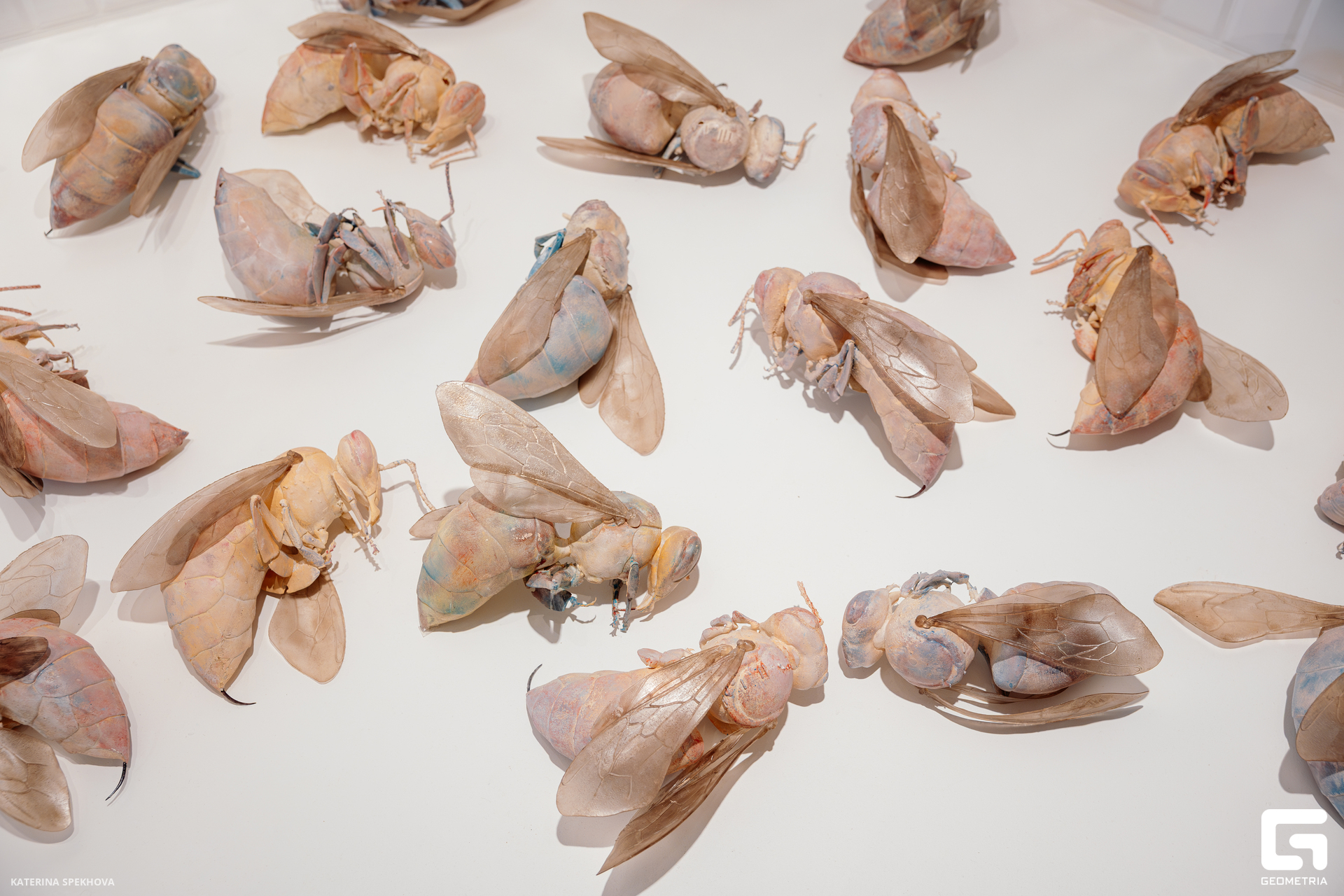 0J2A3040-Улучшено-Ум. шума.jpg