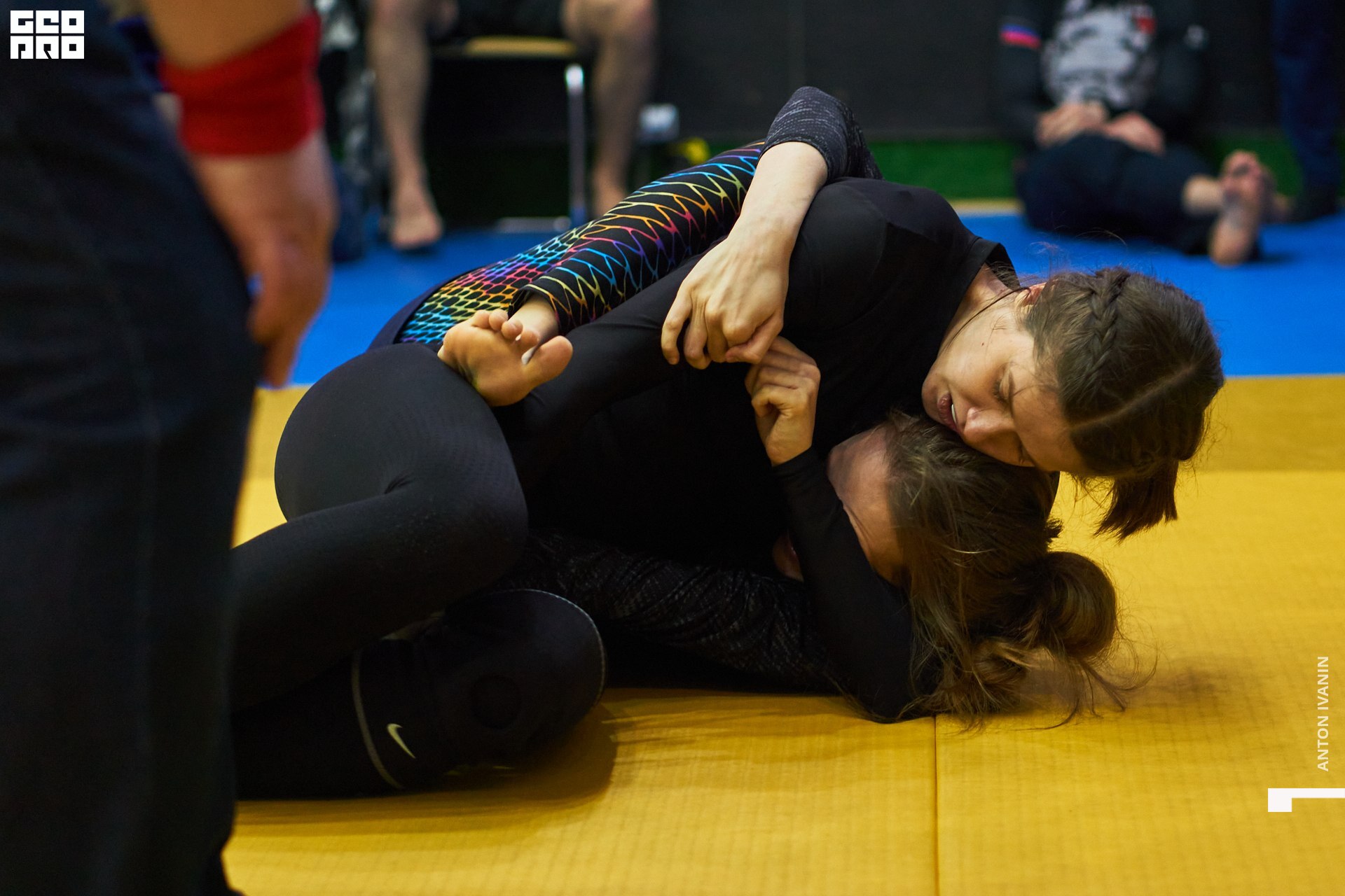 DSC09138 (Копировать).jpg