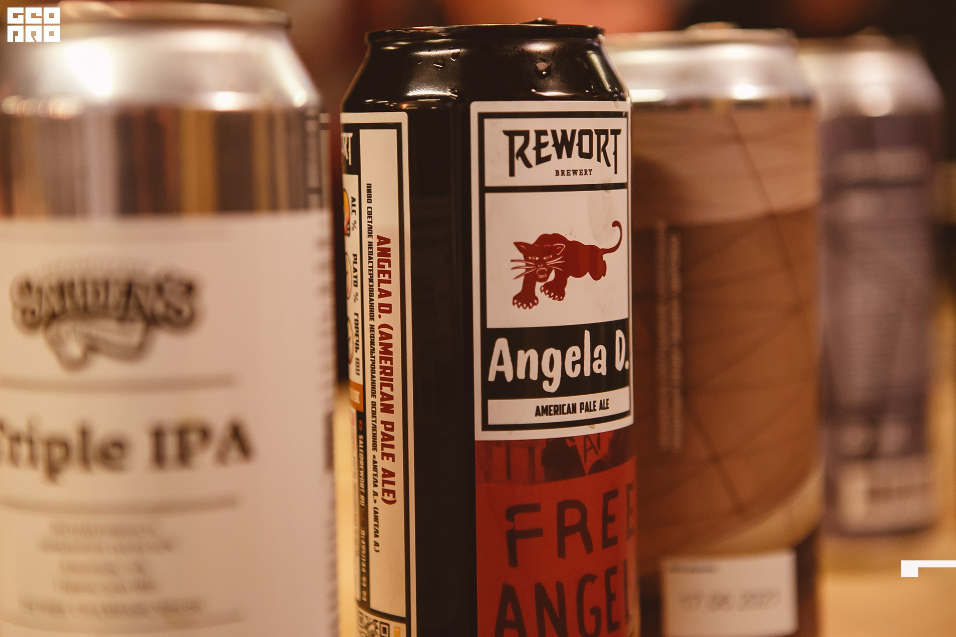 198 211010  213434 _ale_romanova.jpg