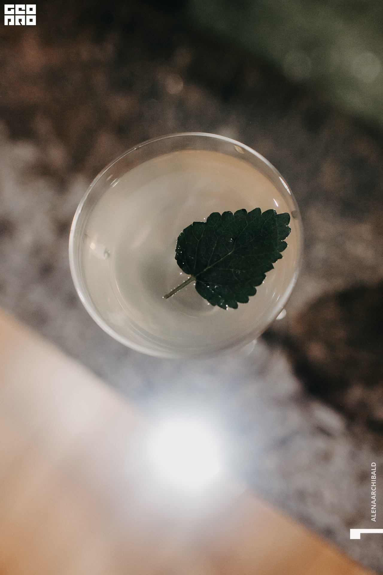 2022-03-06 19-00-24_alenaarchibald047.JPG