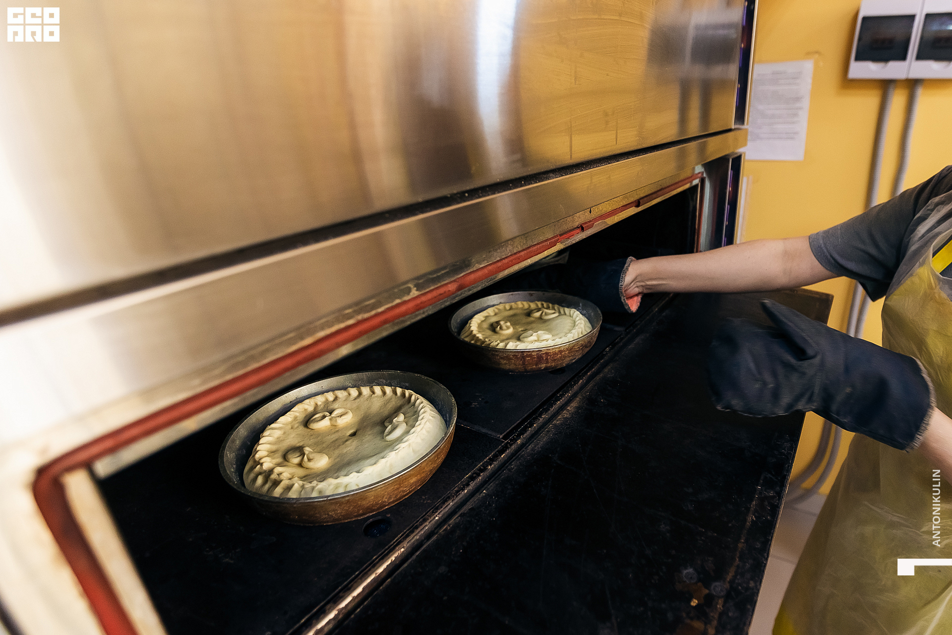 untitled shoot-9917.jpg