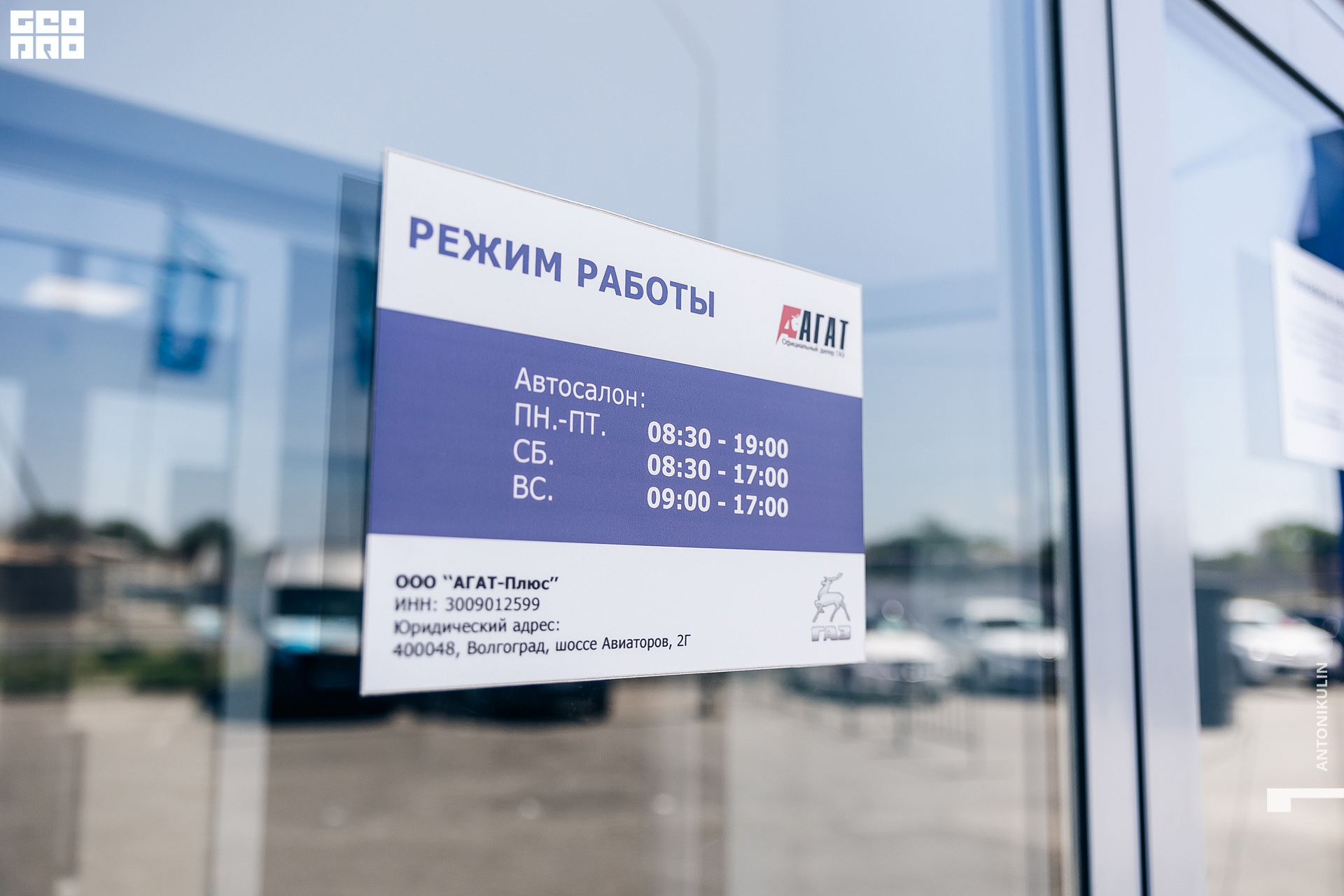 untitled shoot-4528.jpg