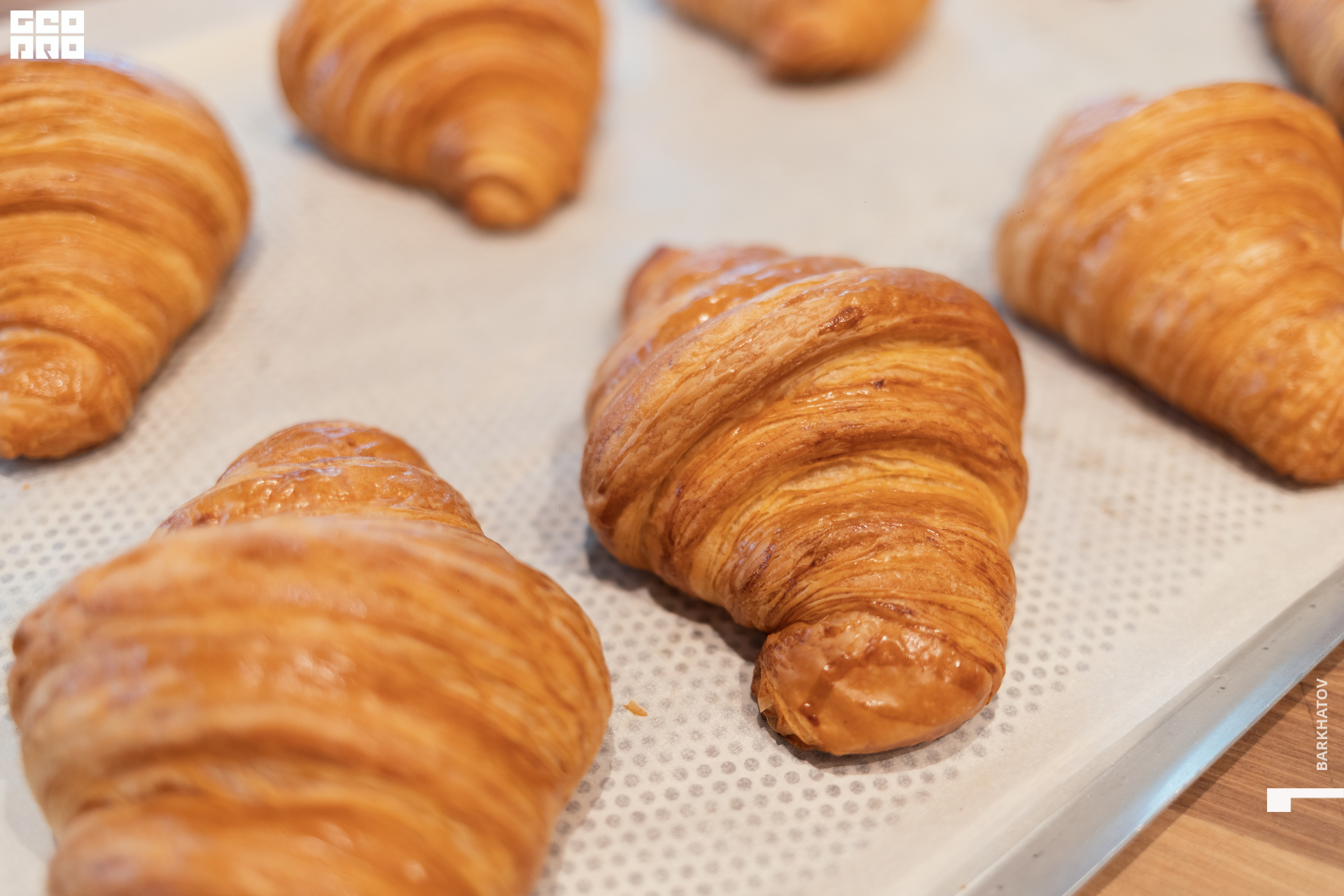 081 (2003) 25.11.22 @mibiyl.jpg