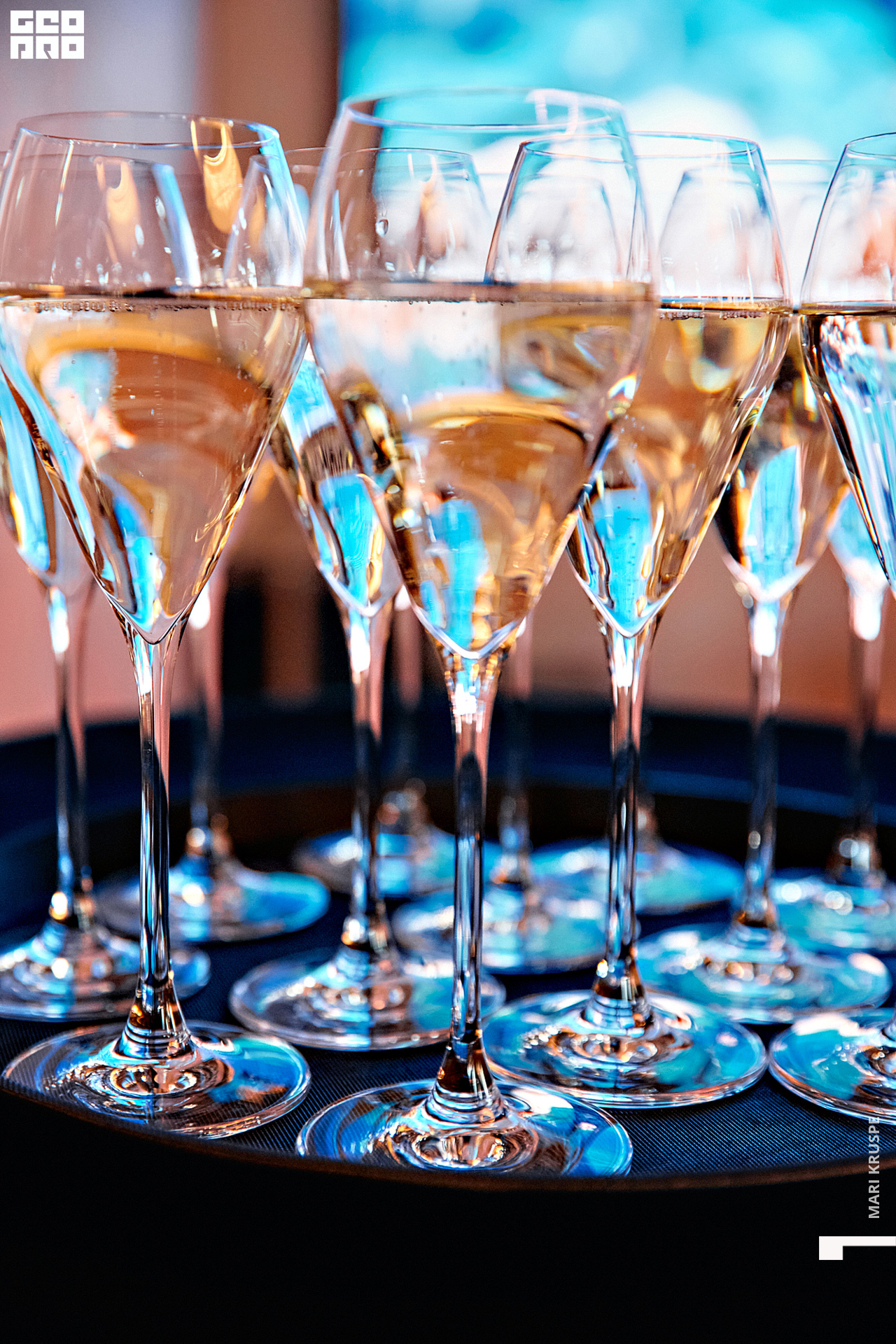 _ARI1294 копия.jpg