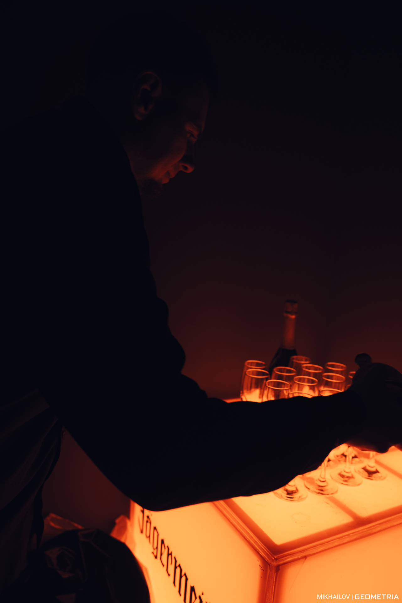 075-311224-4955 Mikhailov-weblogo.jpg