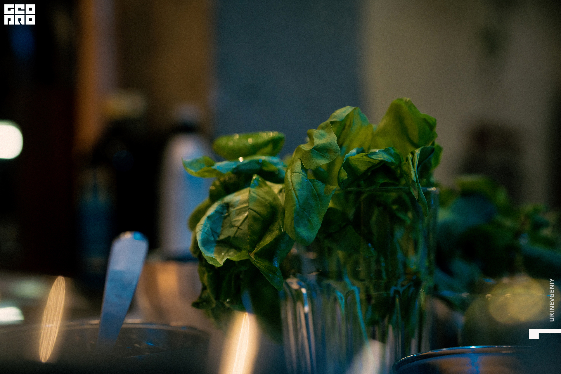 18.11.2021. Каре (42).jpg