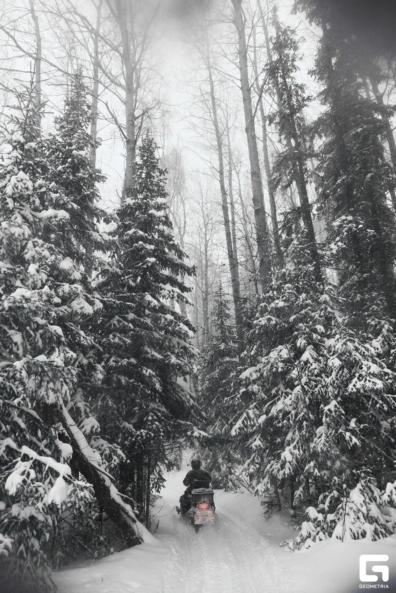 116_26-12-23_13-24-21_GEOMETRIA.jpg