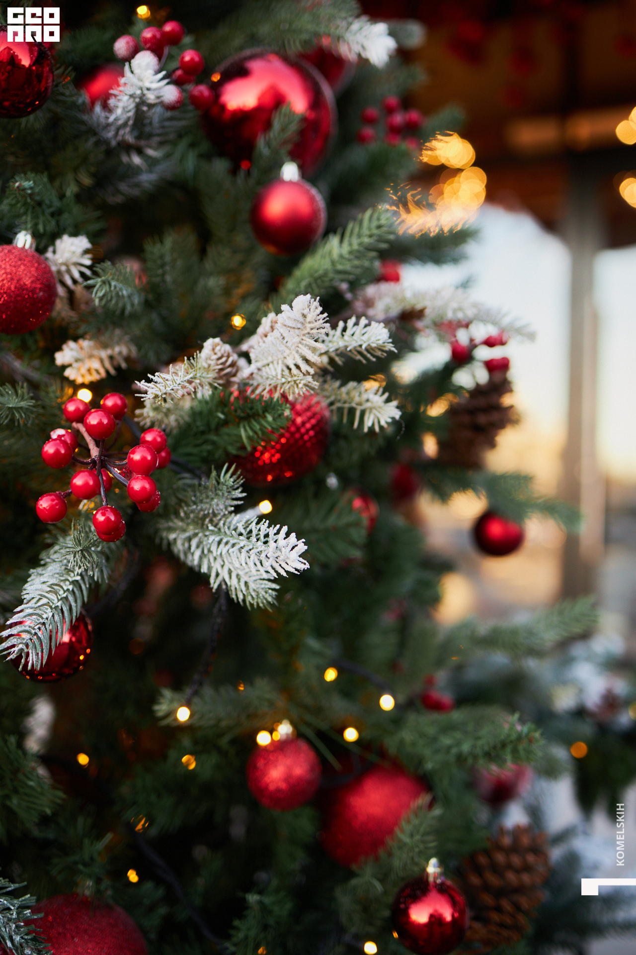 015-2022_12_03-14-02-14 - Komelskih.jpg