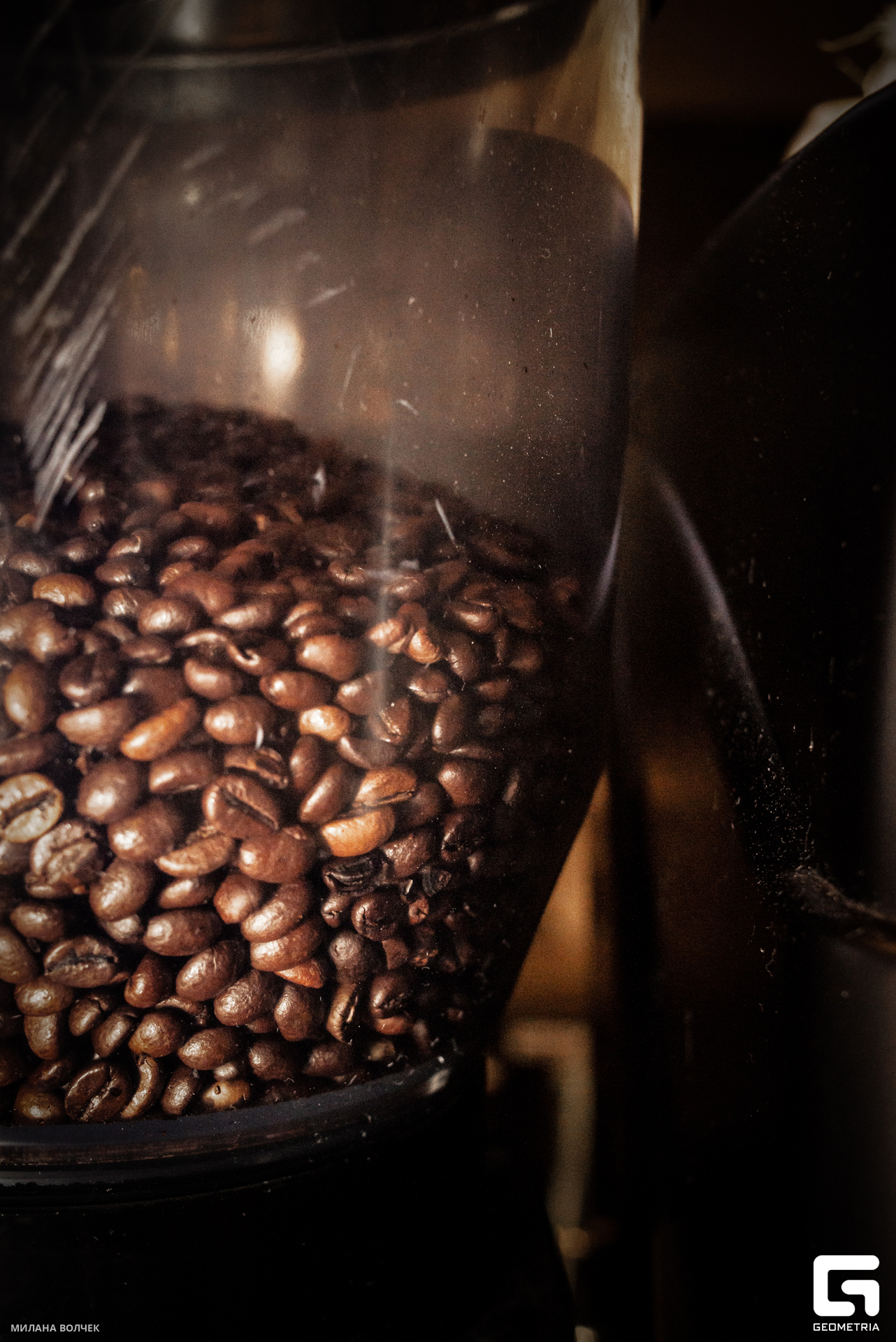 052_20230609 Волчек.jpg