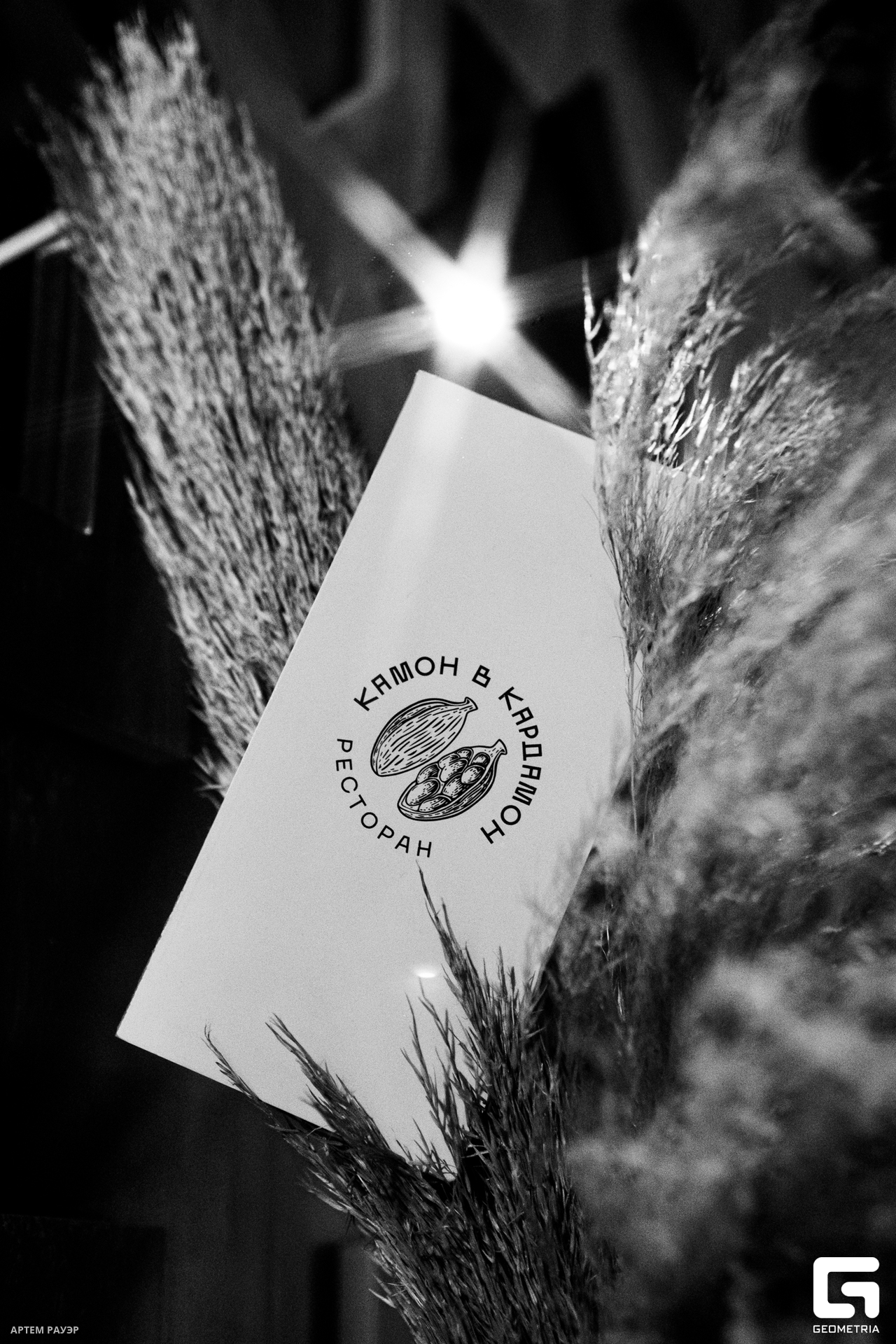 20231201 Kardamon Rauer-1.jpg