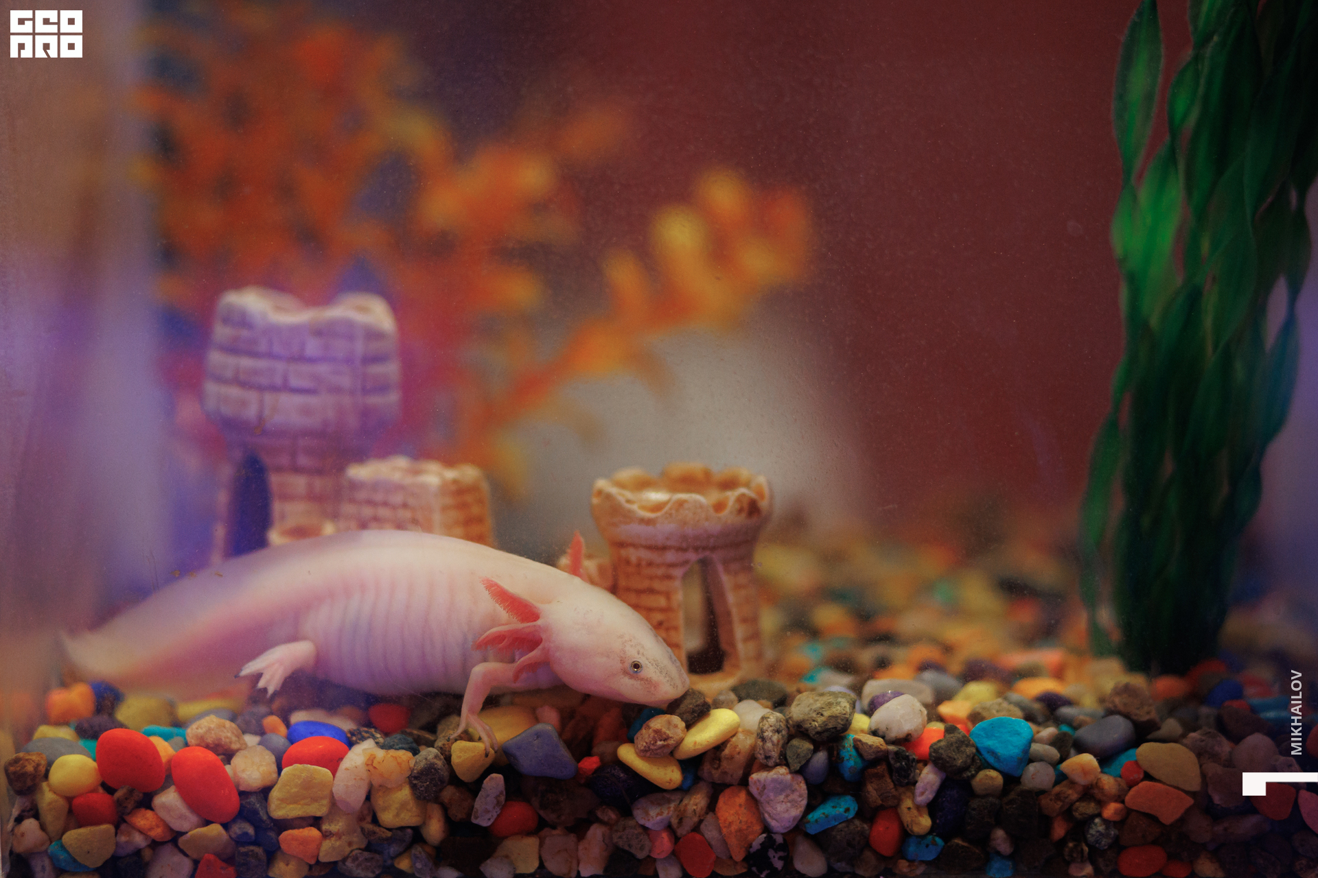 016-20221229рыбалов - Mikhailov - 2560.jpg