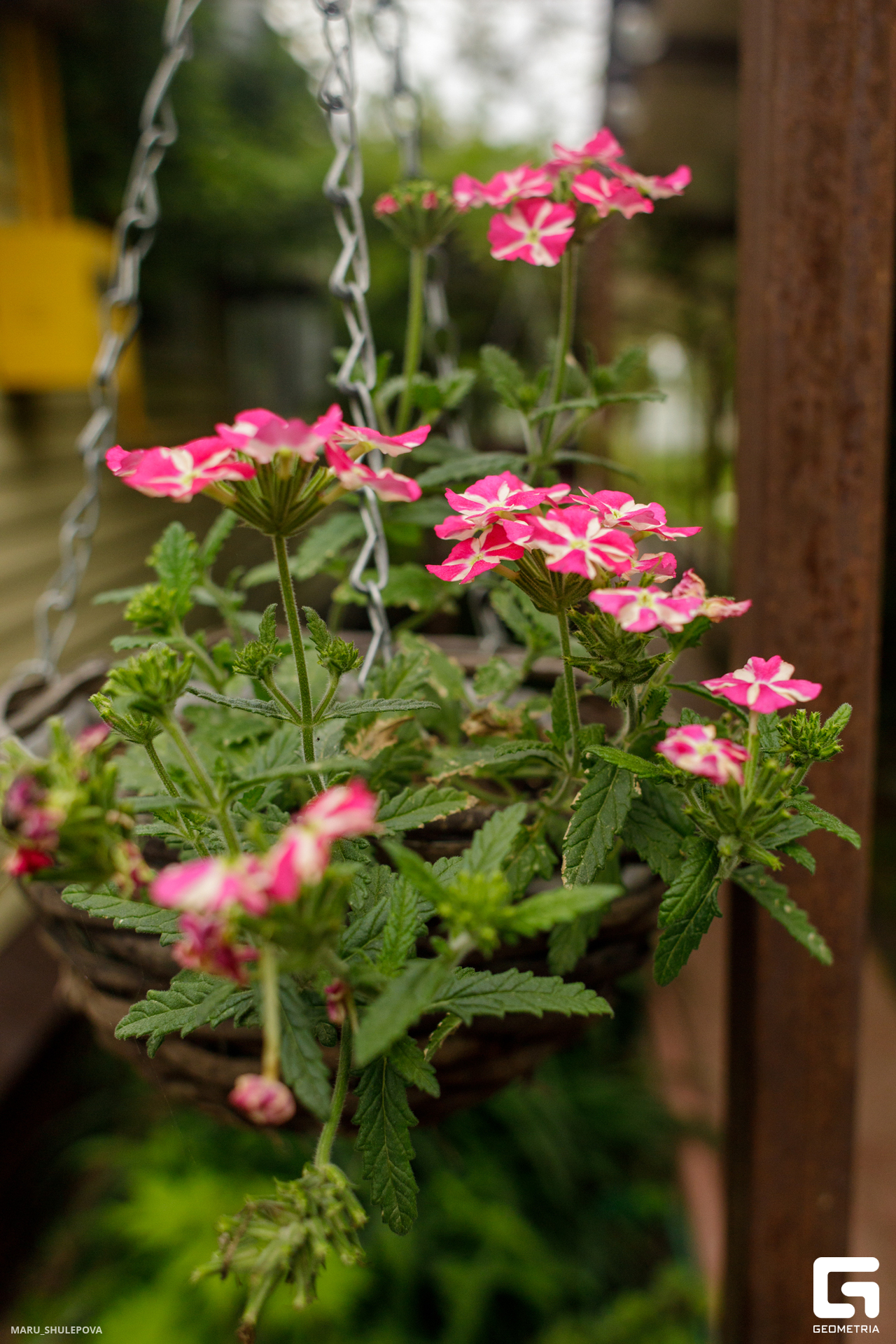 домик мечты-286.jpg