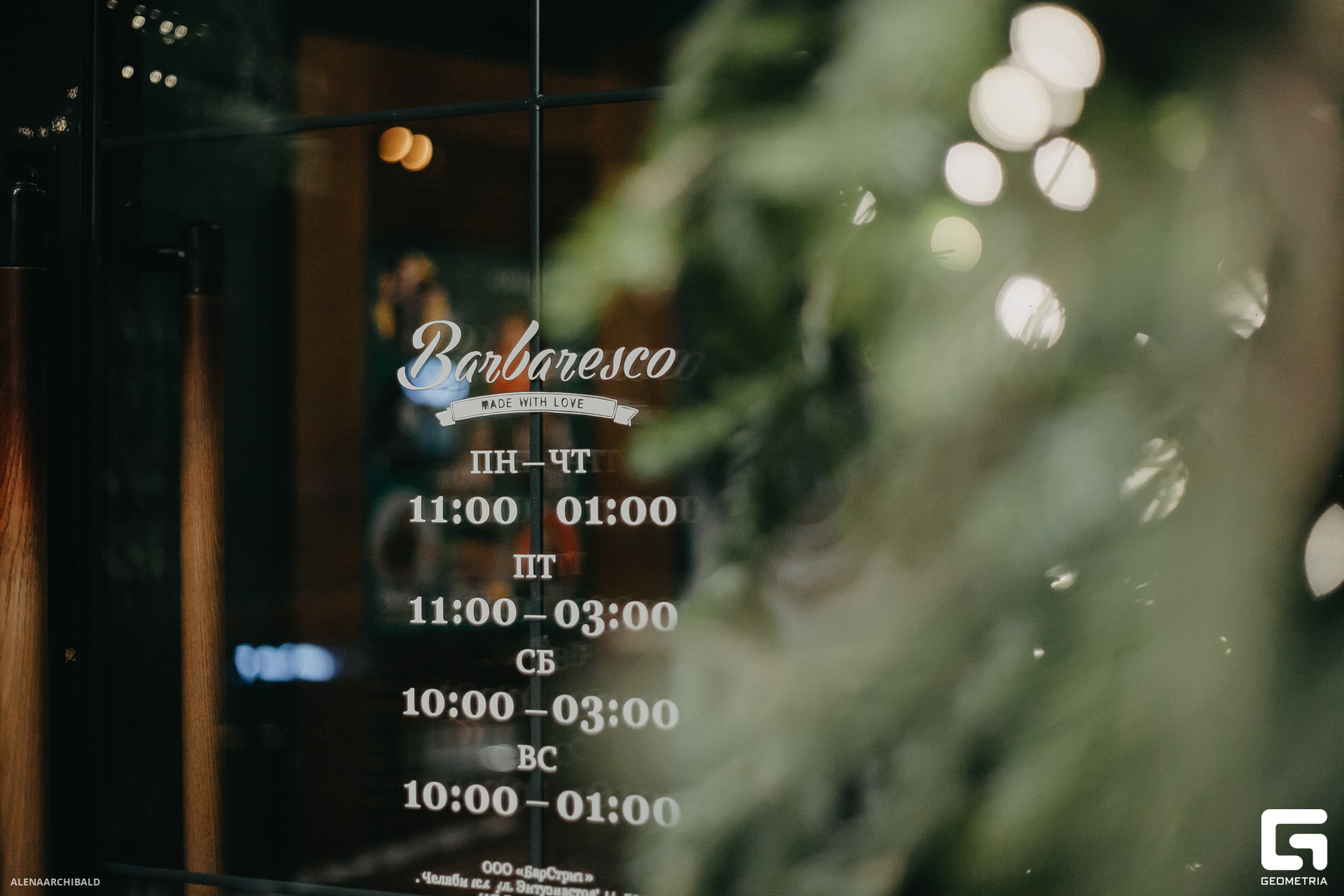 2023-11-24 22-00-46_alenaarchibald001.JPG