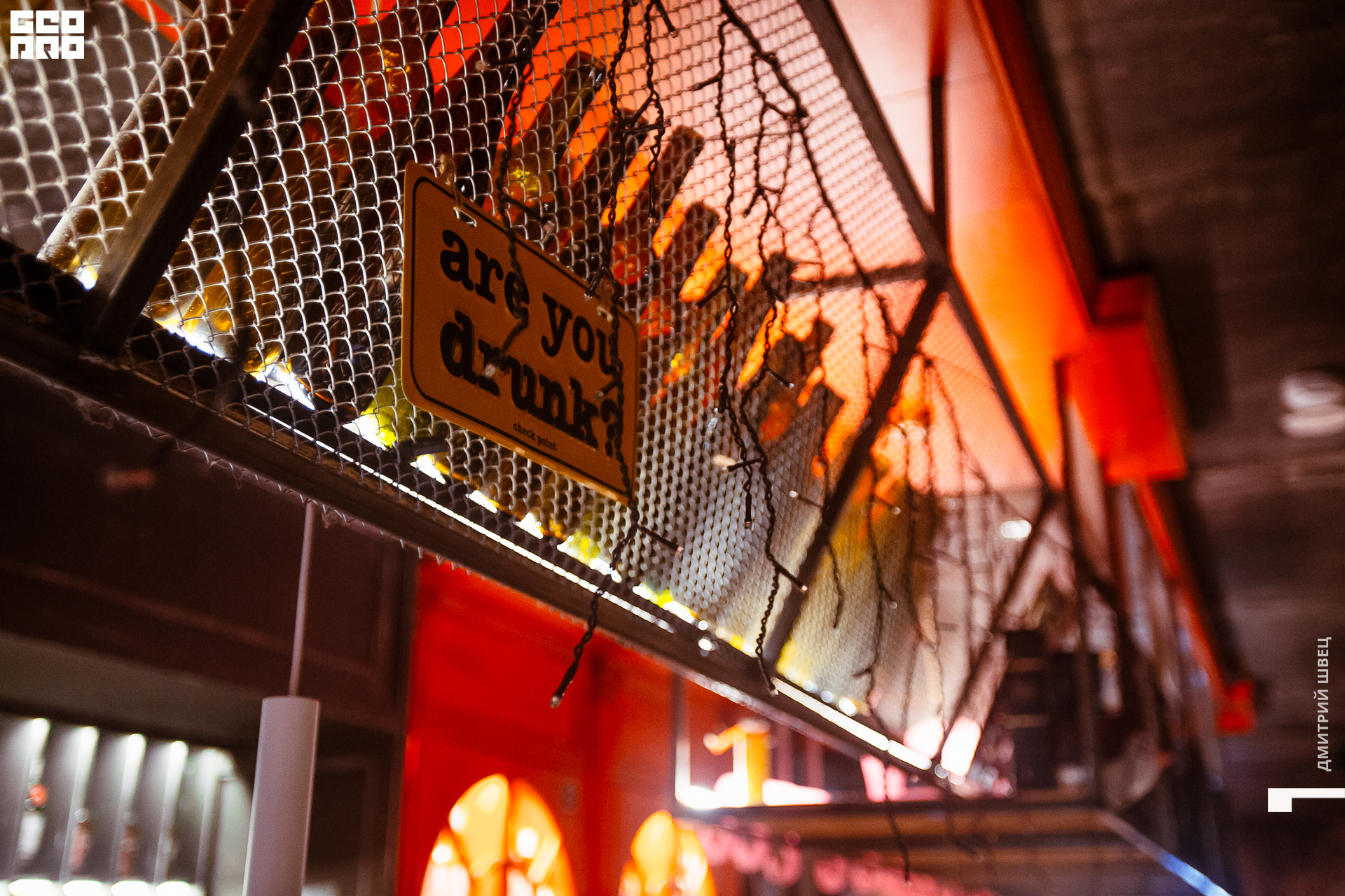 017  2021-11-12 20-11-29 Shvets_.jpg