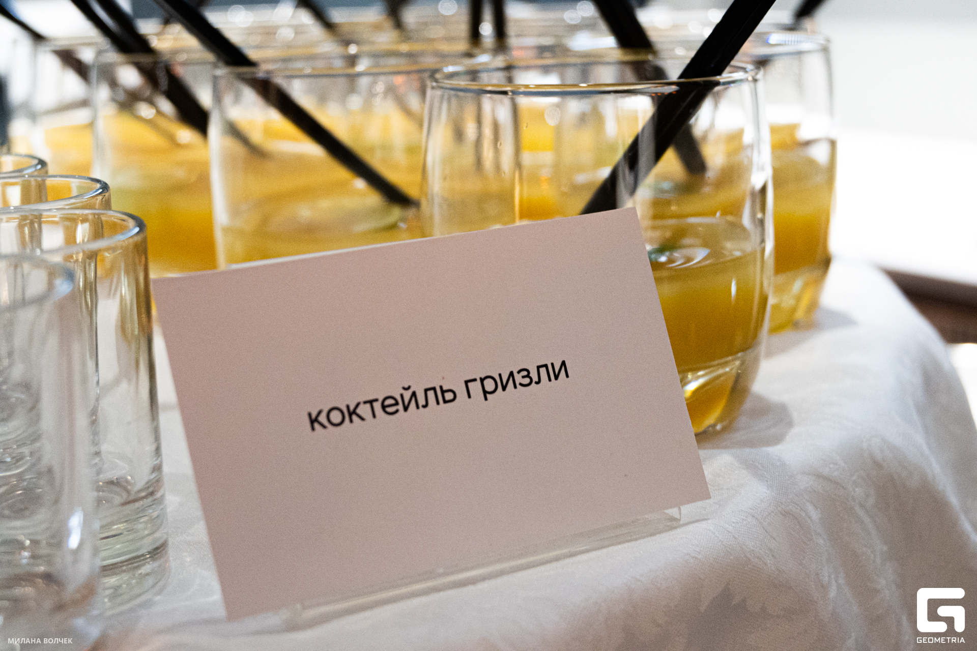 108_20231111 Волчек.jpg