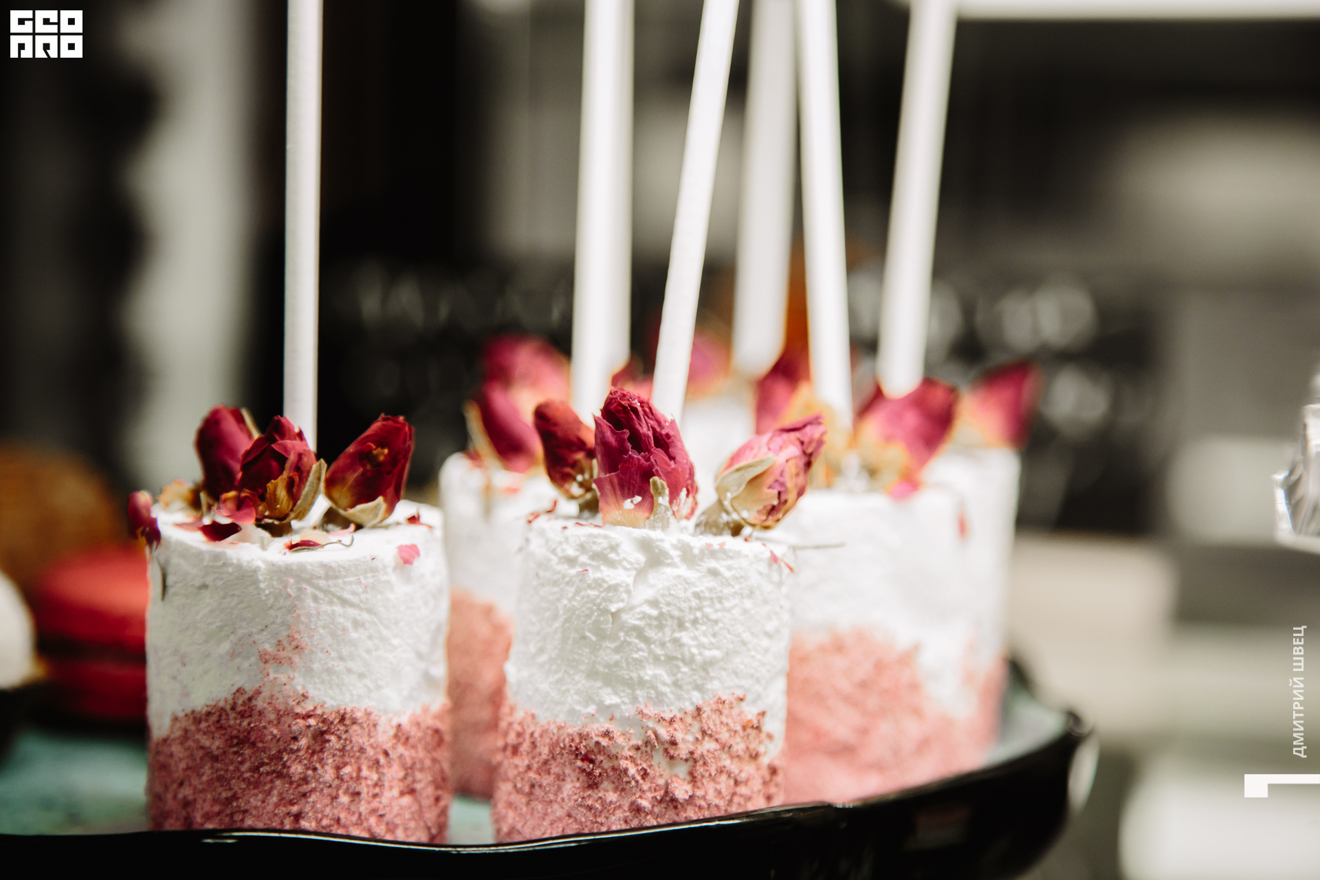 2021-11-25 19-03-42_Швец.jpg