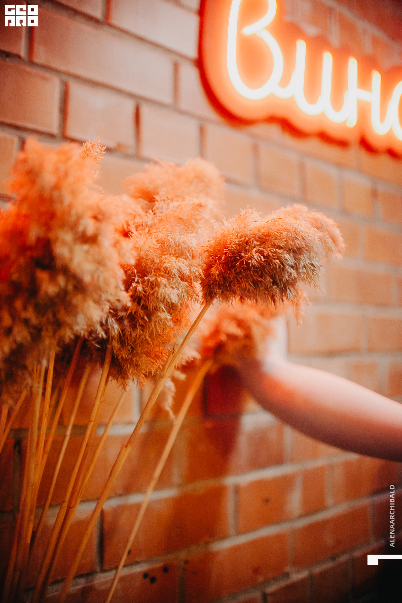 2022-09-16 20-53-15_alenaarchibald117.jpg