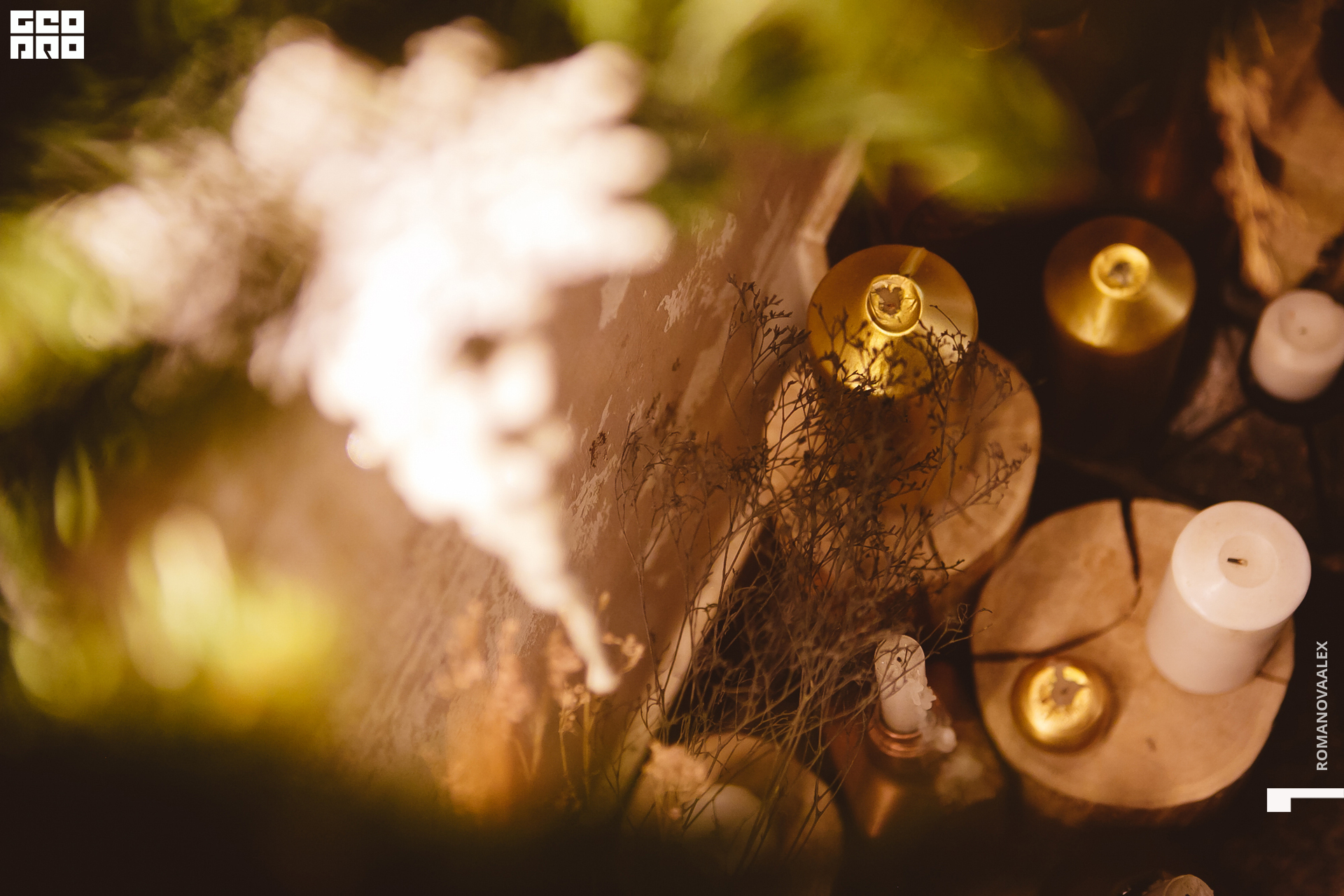 078  ale_romanova.jpg