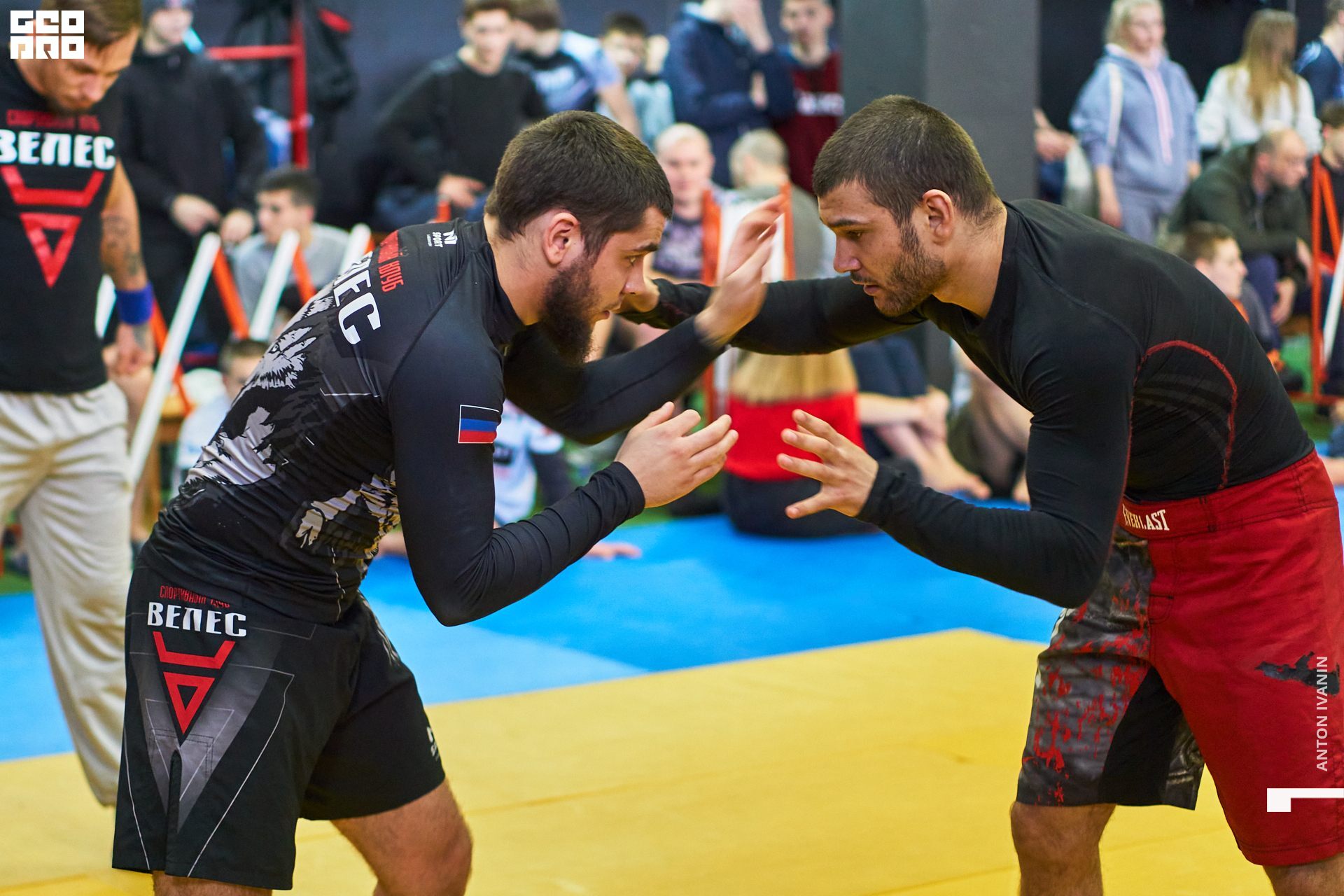 DSC09833 (Копировать).jpg