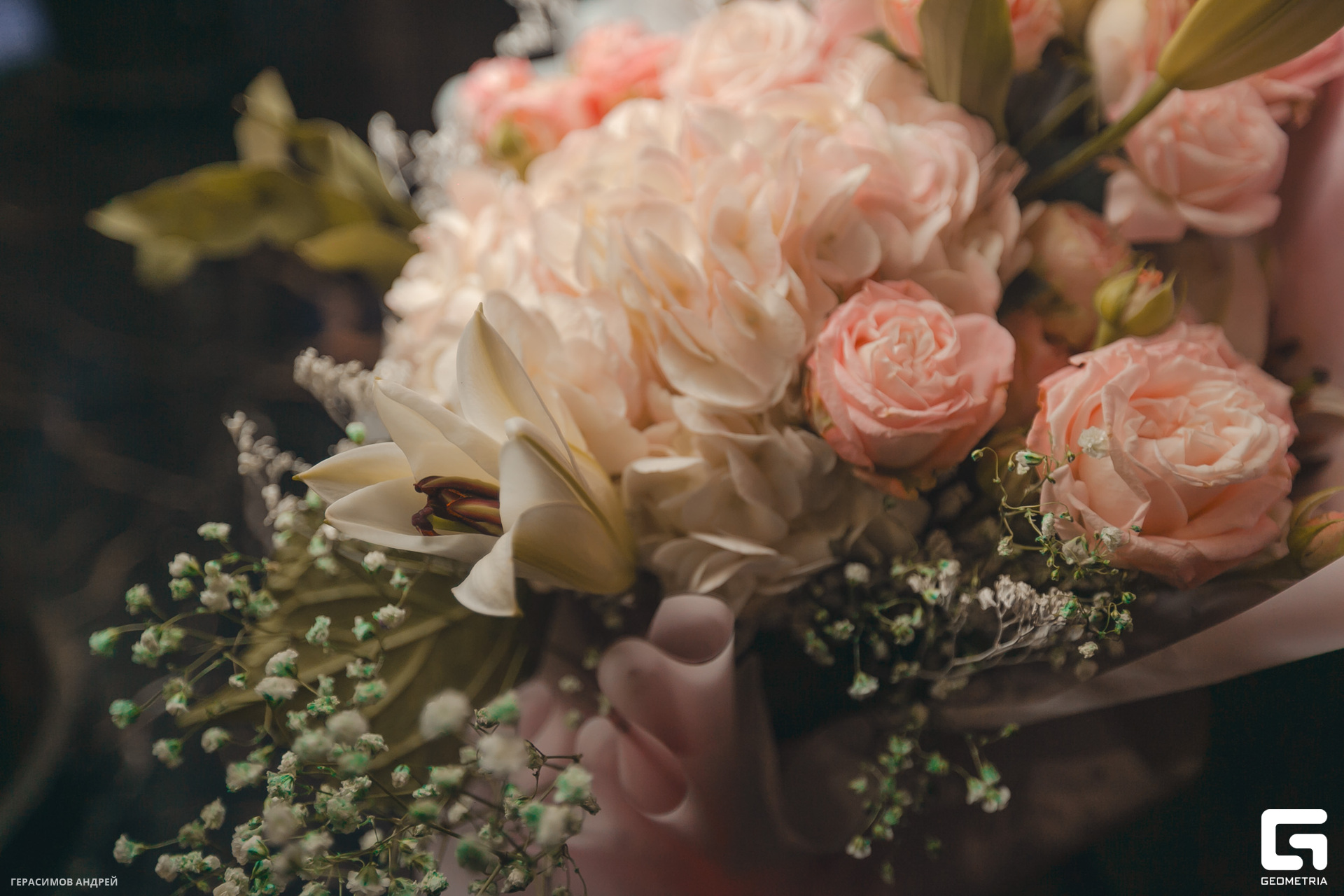 017 Бархат 18.11.jpg