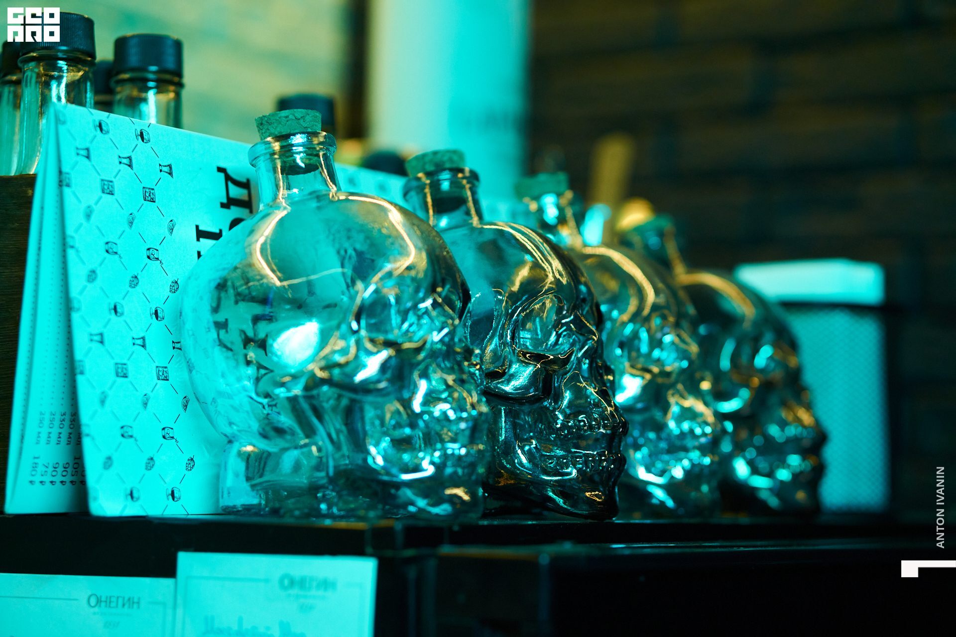 DSC08481 (Копировать).jpg