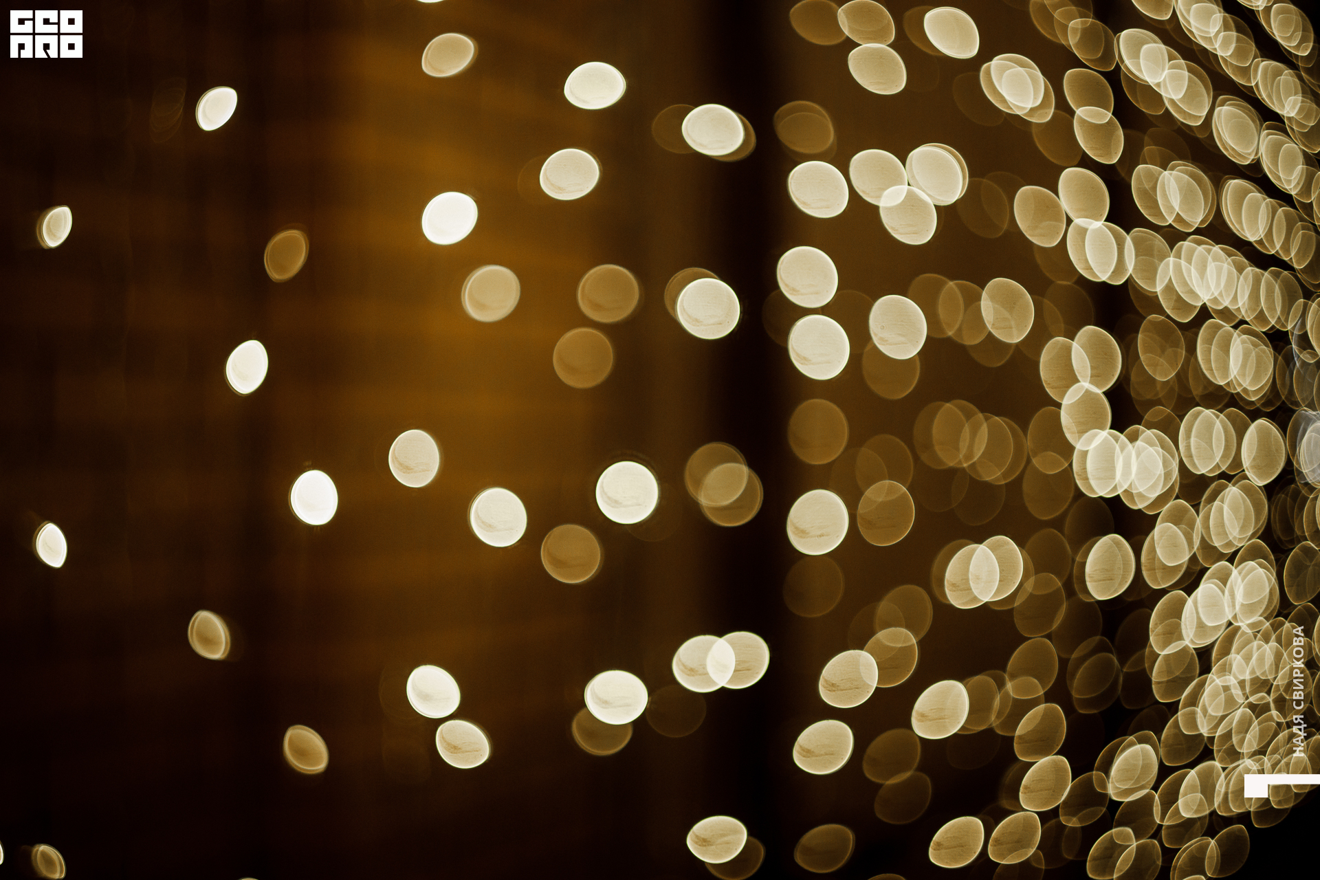 032_21-12-03 ISAEVA.jpg