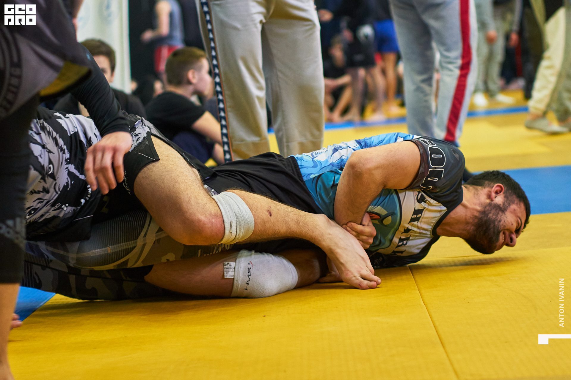 DSC09408 (Копировать).jpg