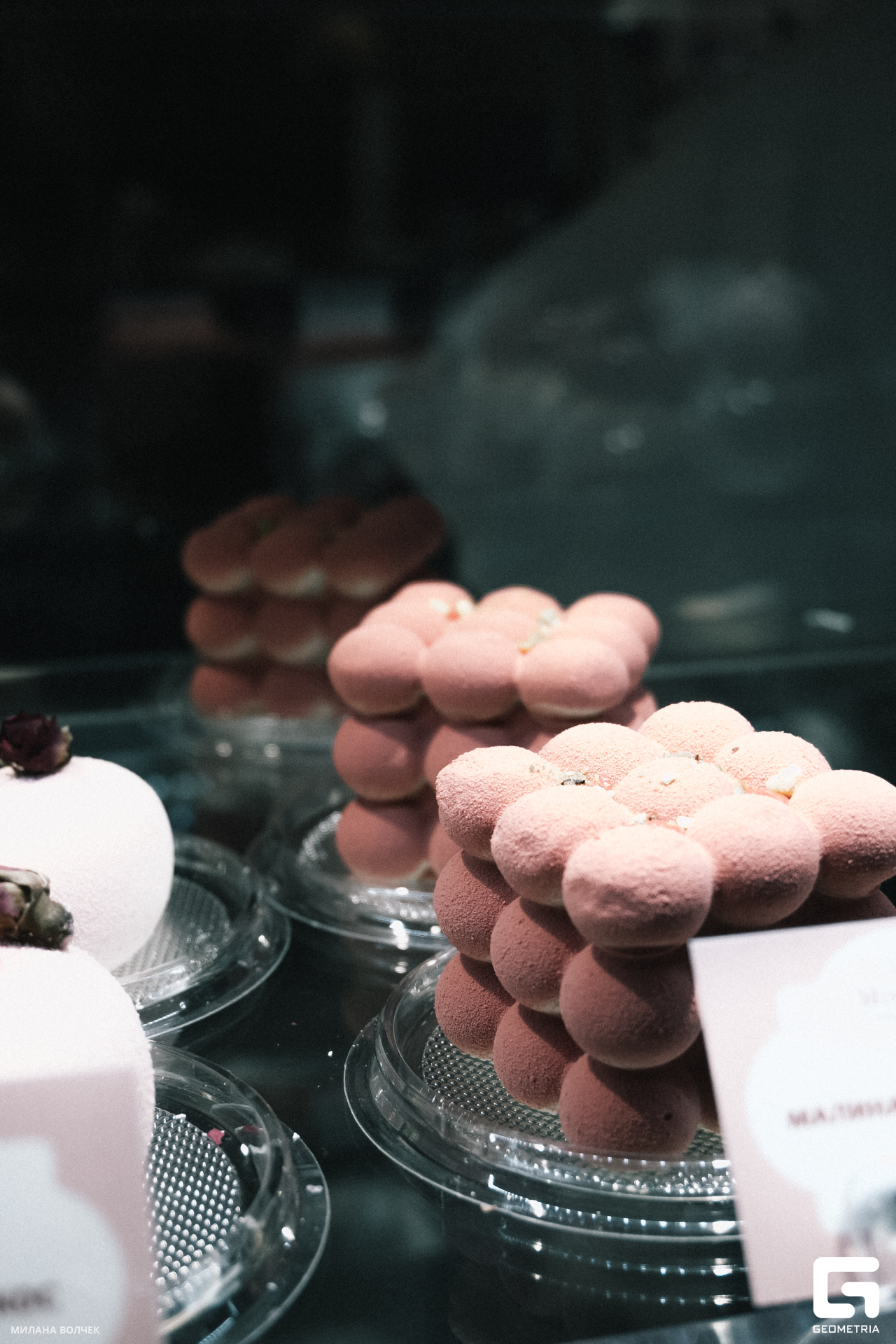 035_20231028 Волчек.jpg