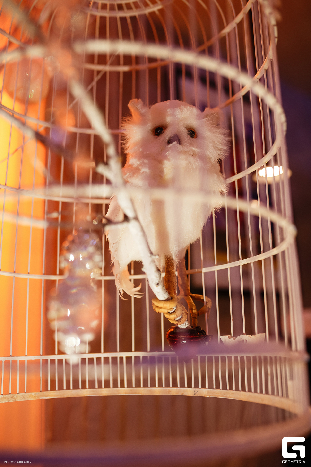 IMG_8523-Улучшено-Ум. шума.jpg