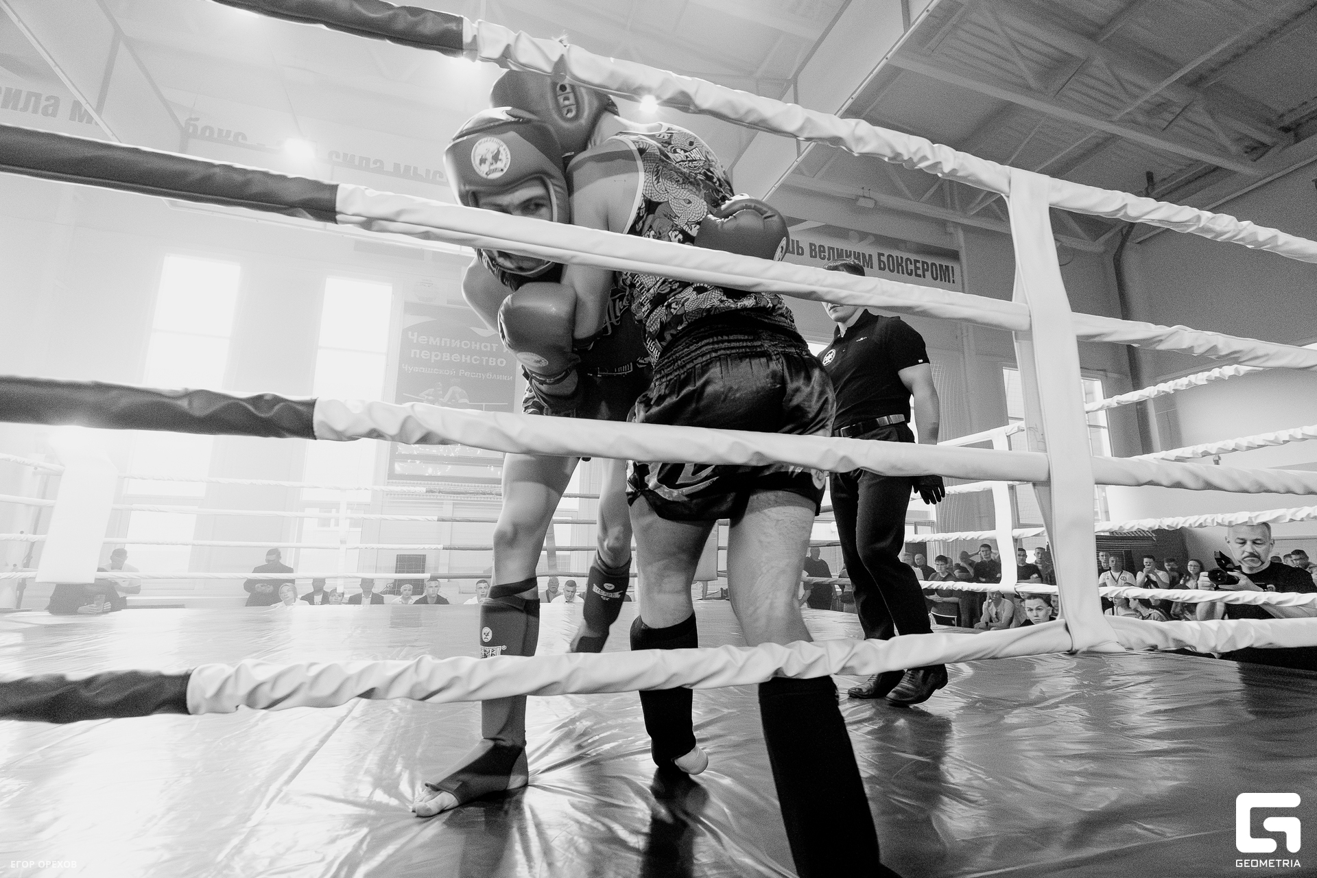 DSC08809-Улучшено-Ум. шума.jpg