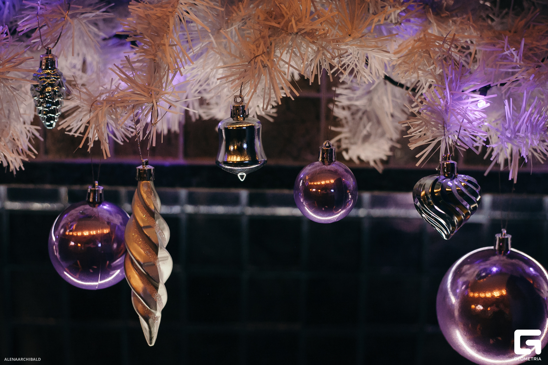 2023-12-22 19-30-57_alenaarchibald077.JPG