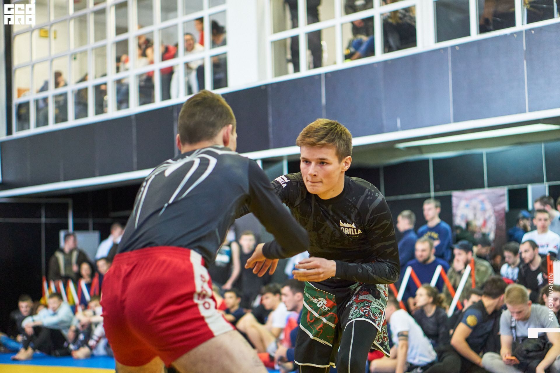 DSC08731 (Копировать).jpg