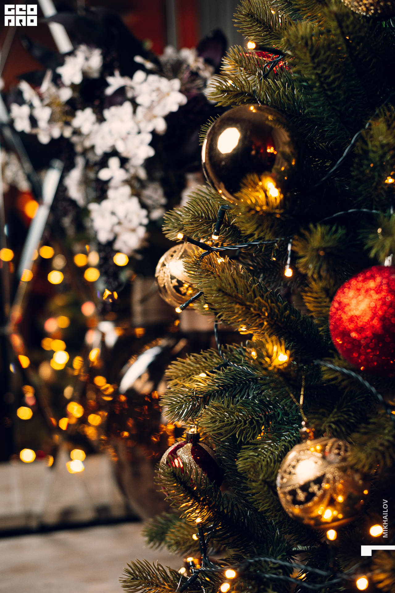 020-26-12-2020-19-37-Стейкхаус - Михайлов - 1920.jpg