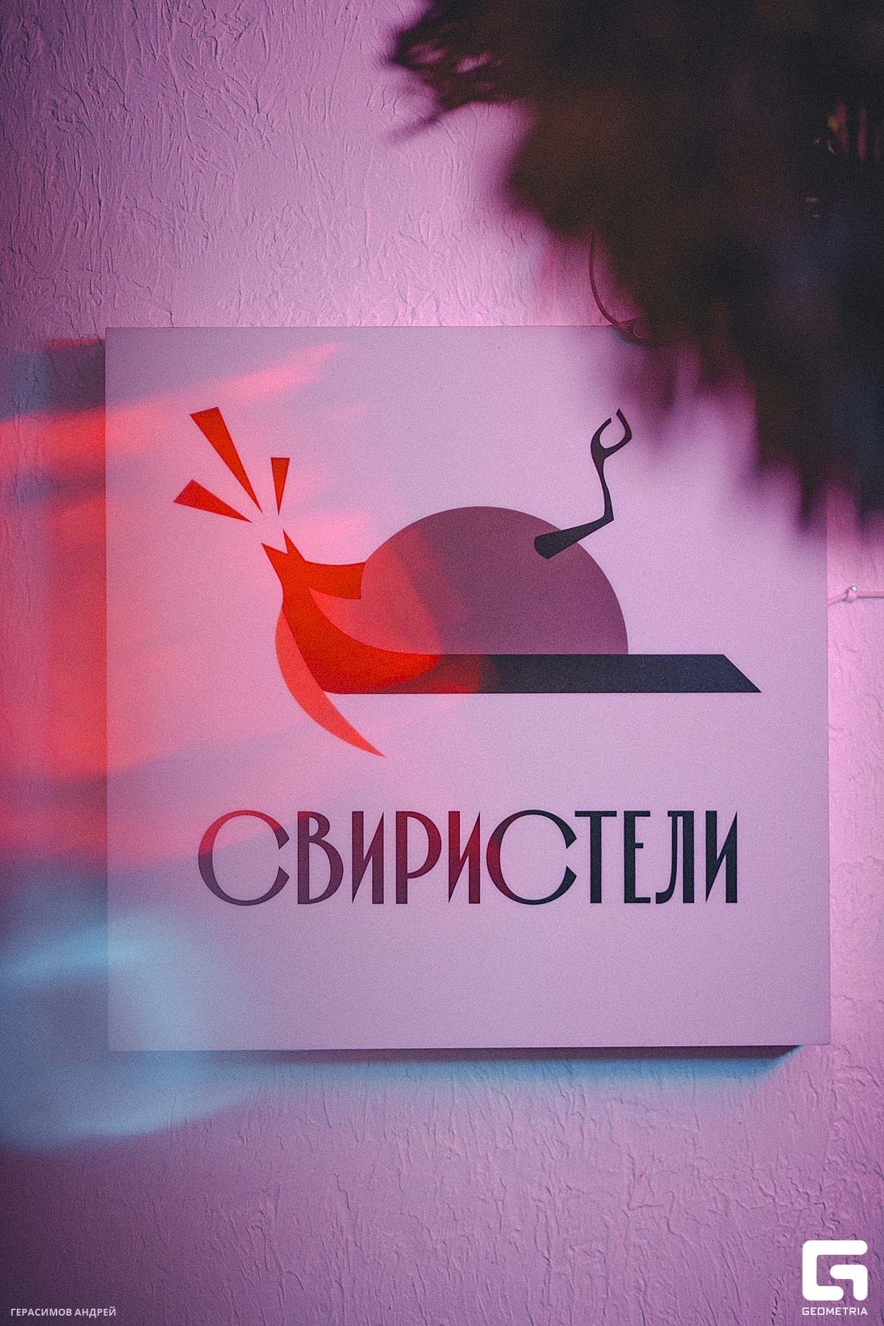 016 Свиристели 17. 02.jpg