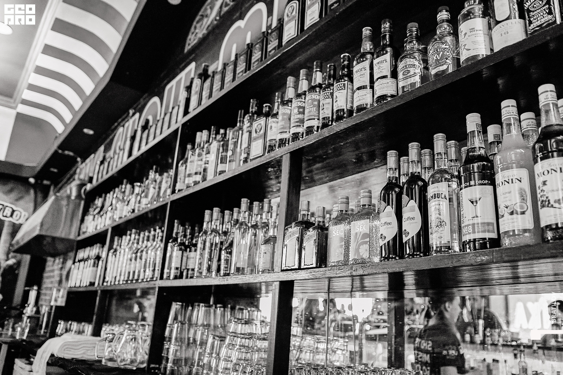 00046 - 2022-09-03 02.21.10 - Alex Bratilov.jpg