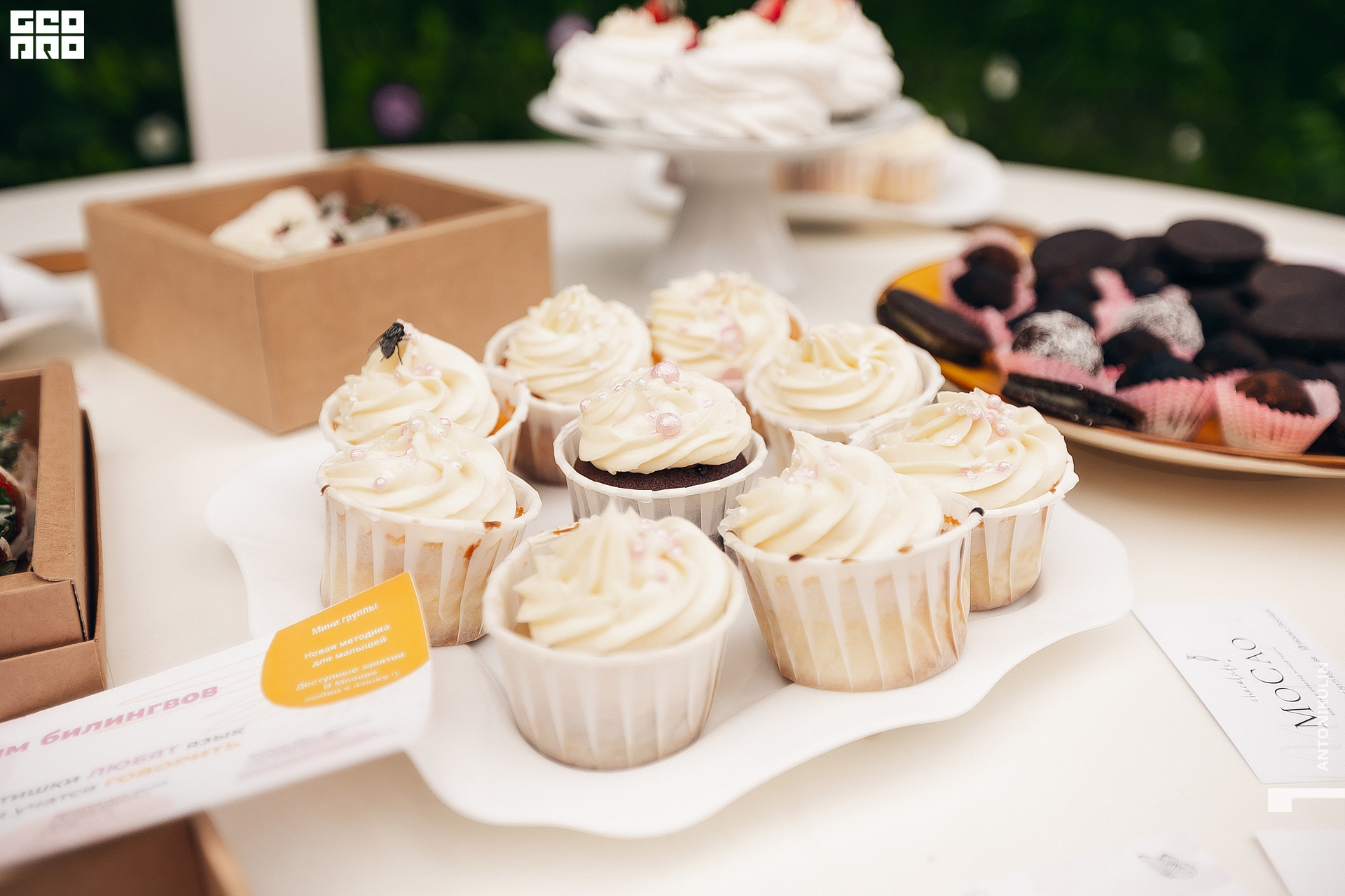 untitled shoot-0071.jpg