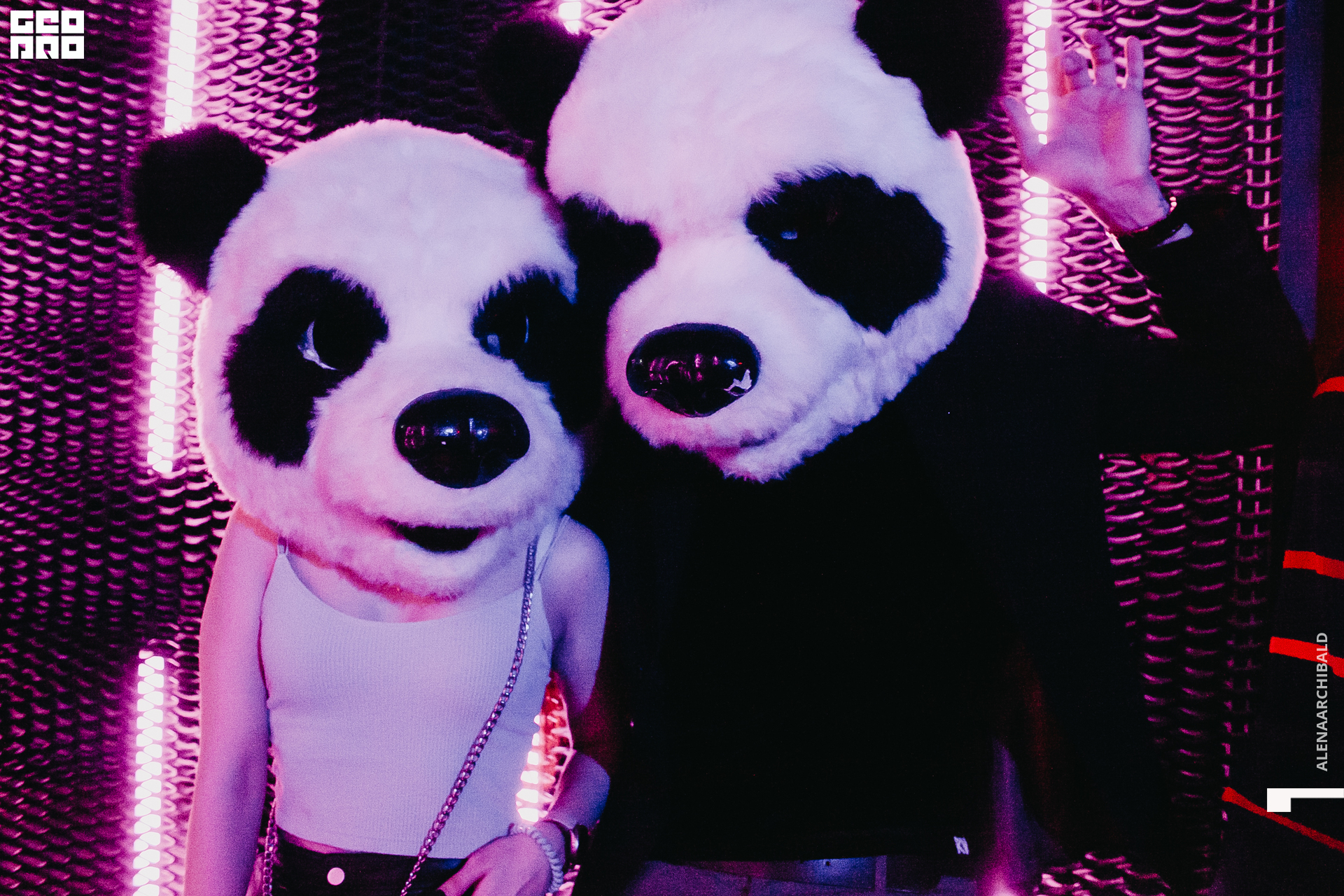 2021-02-21 00-50-44_alenaarchibald_024.JPG