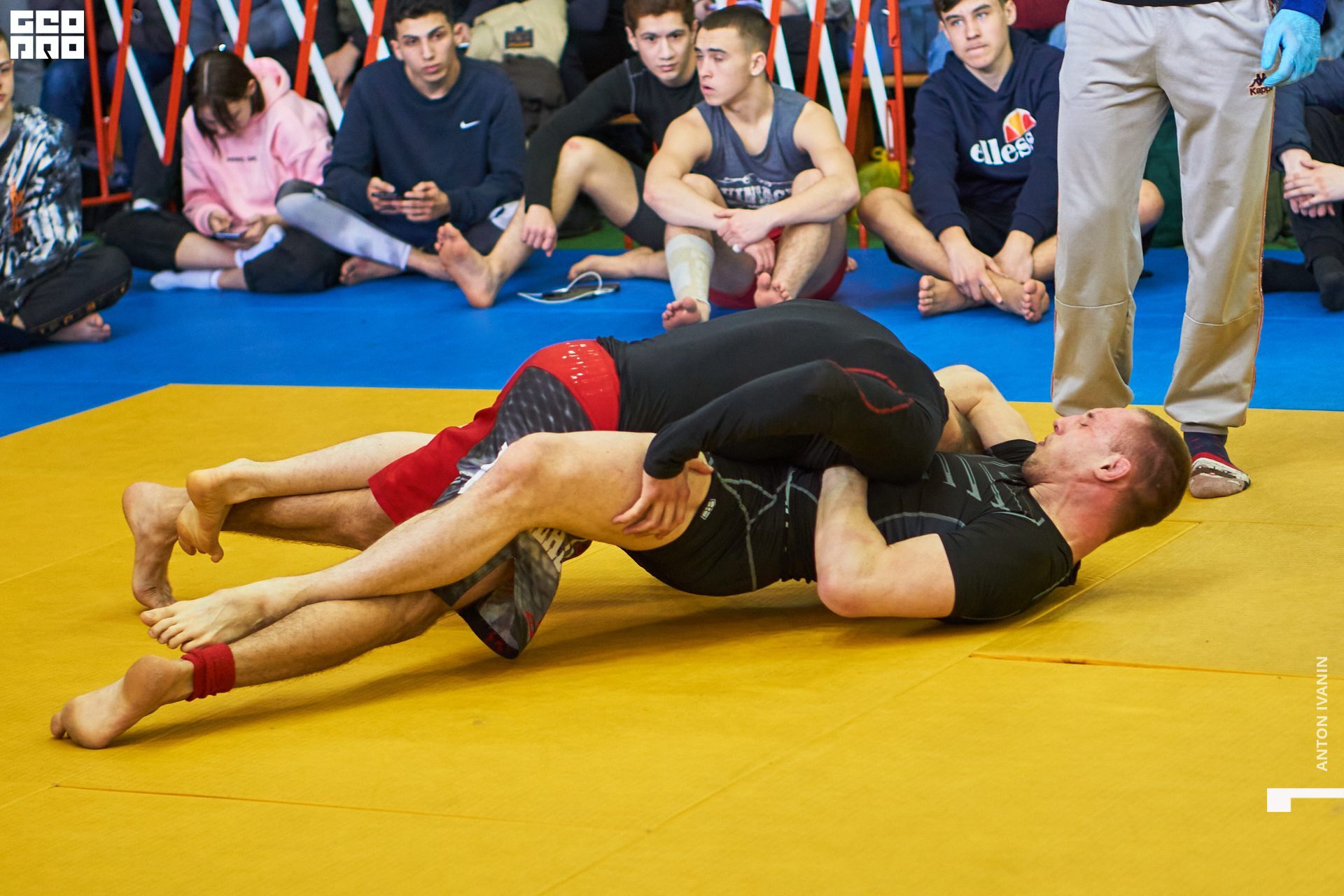 DSC09268 (Копировать).jpg