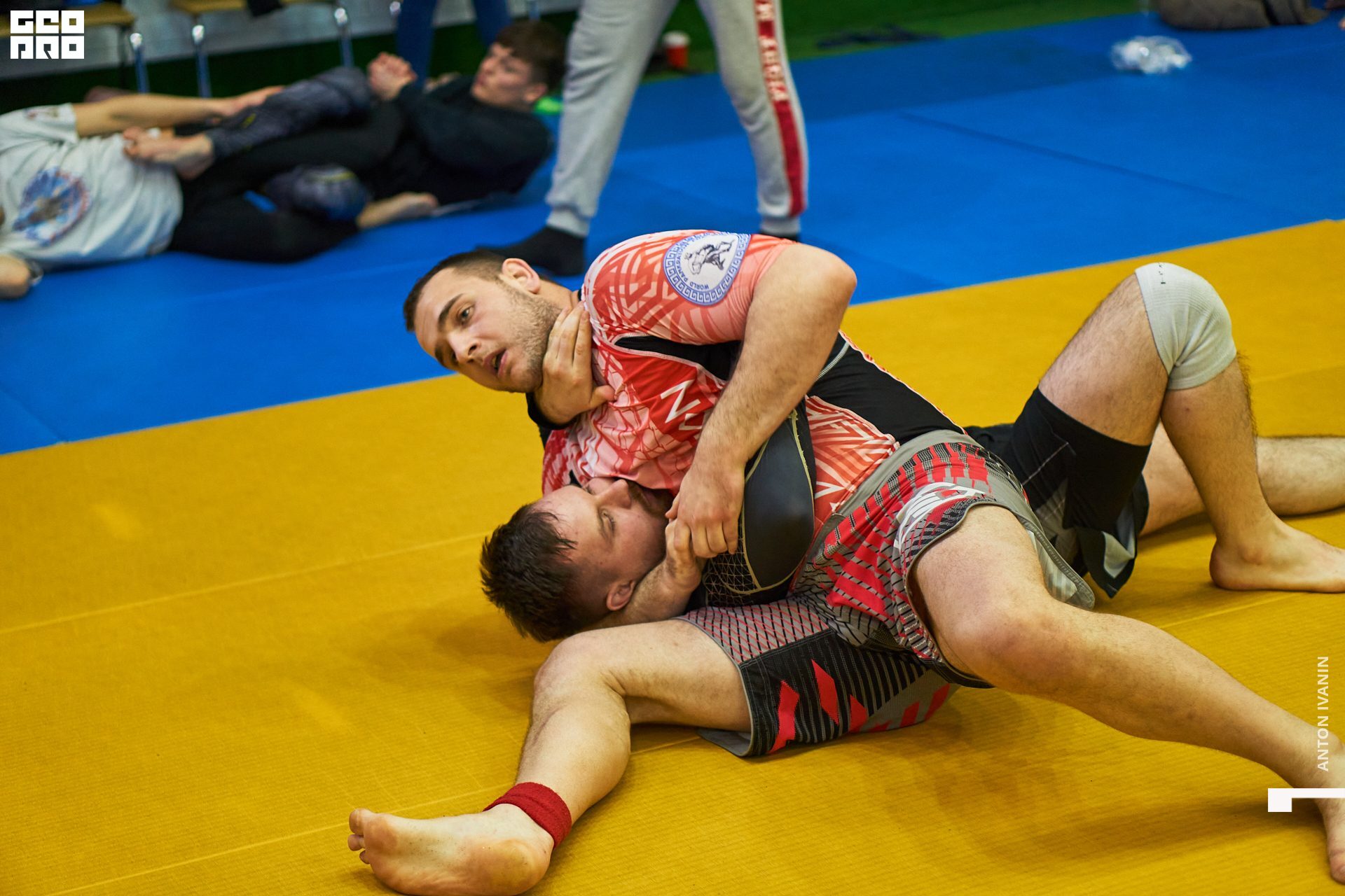 DSC09965 (Копировать).jpg