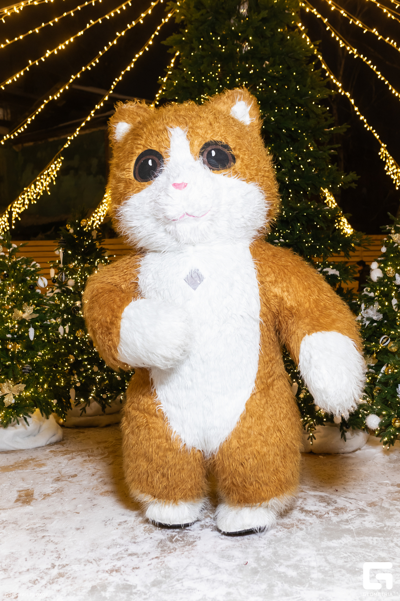 2023.12.27 Каток 076.jpg