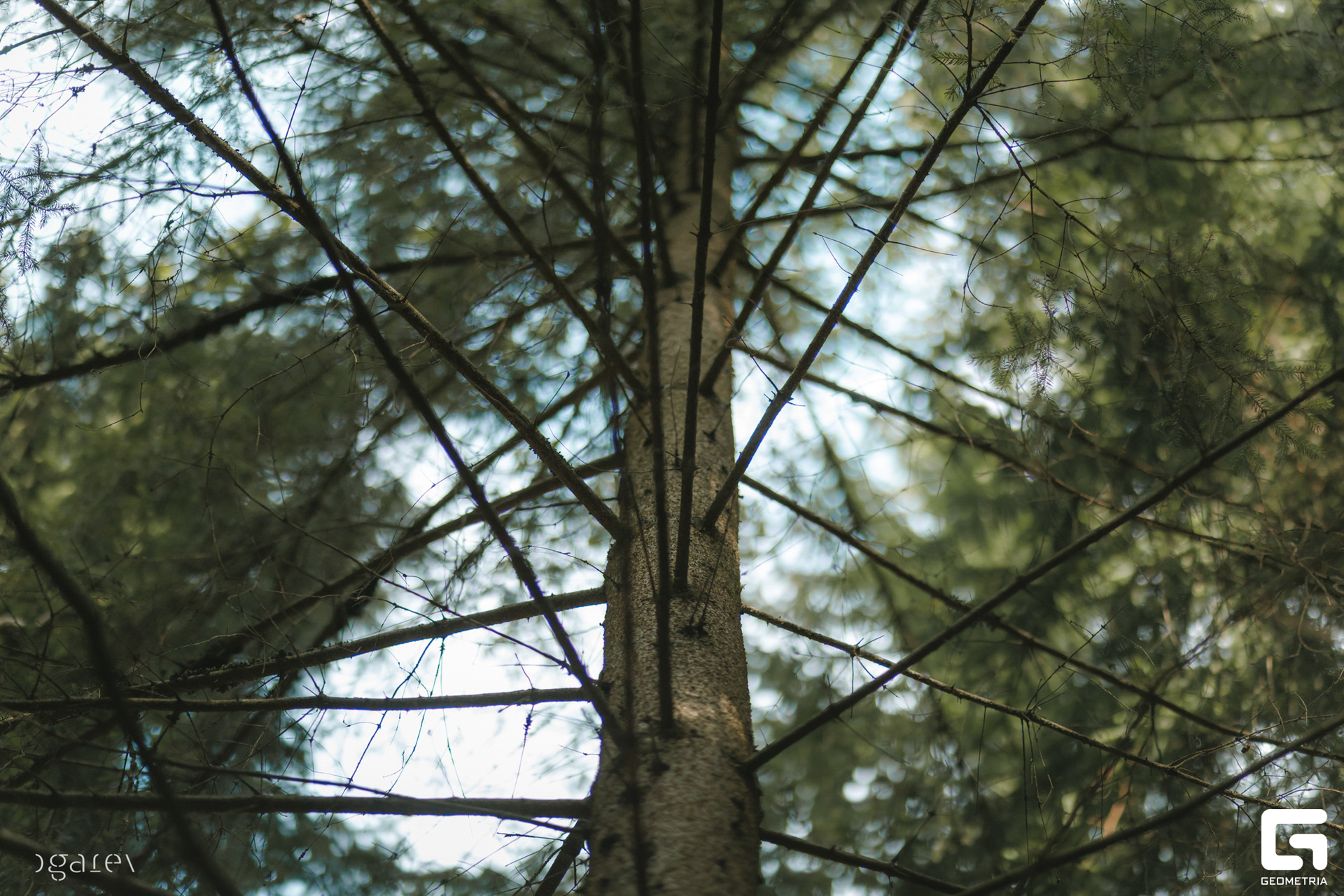 OUTLINE 2024-427-286.jpg