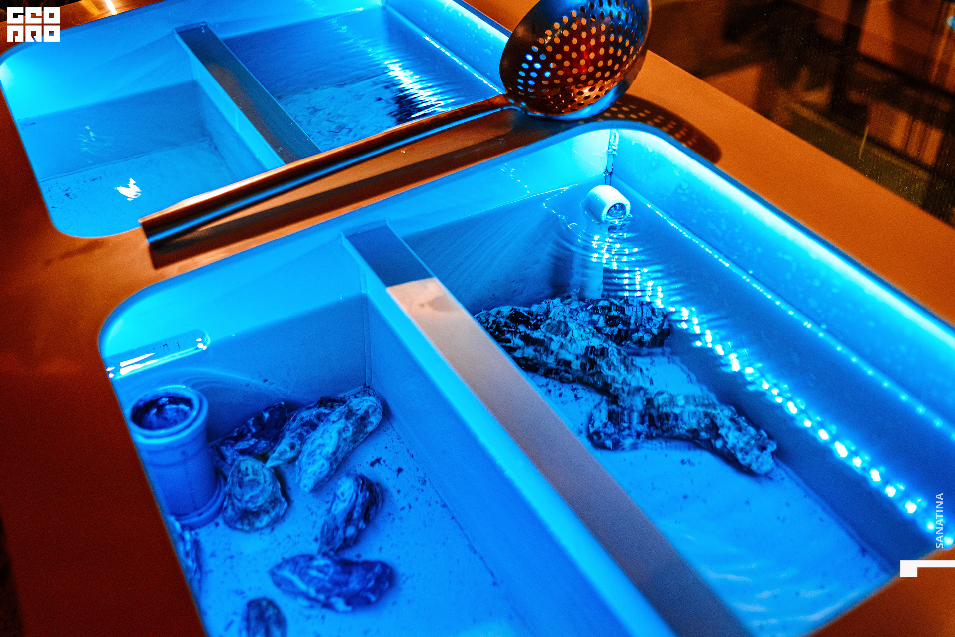 0048_2021-04-03_20-27-45 - Sanatina.jpg