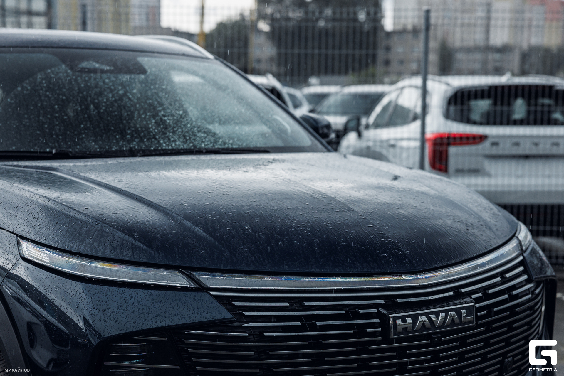 113-270625-2049 Mikhailov-web.jpg