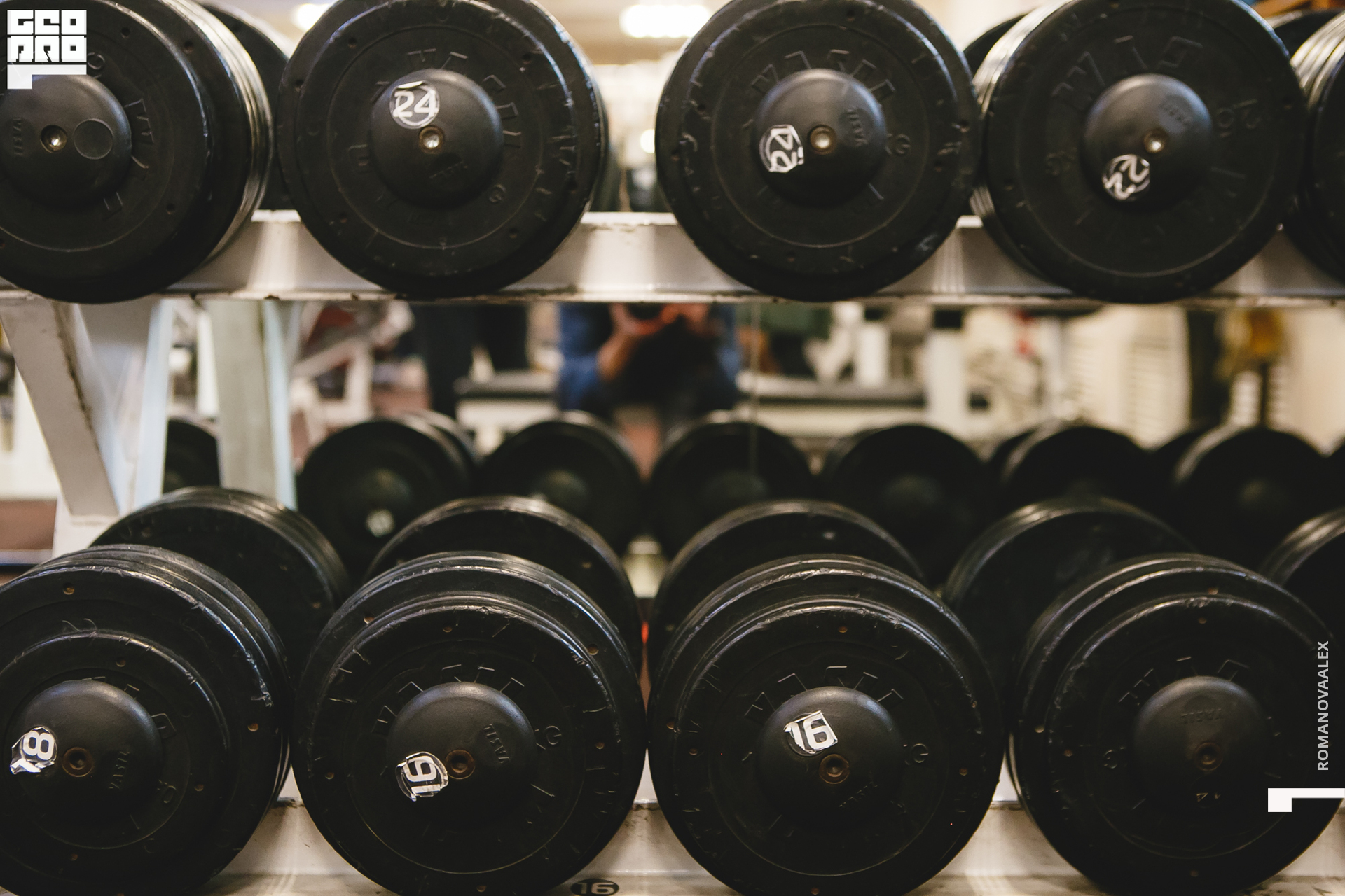 231201121 121425_Романова.jpg