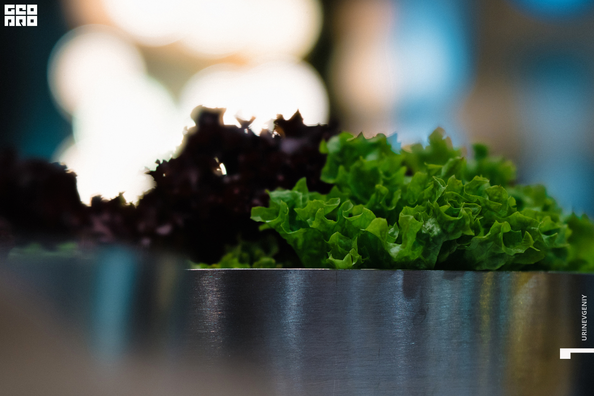 11.12.2020. Каре (32).jpg